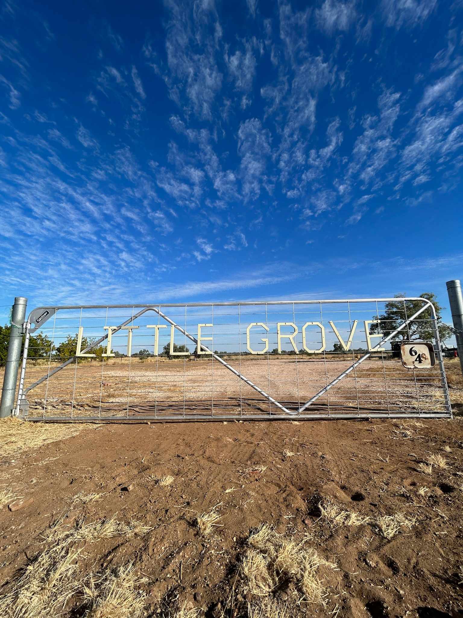 Little Grove - Photo 3