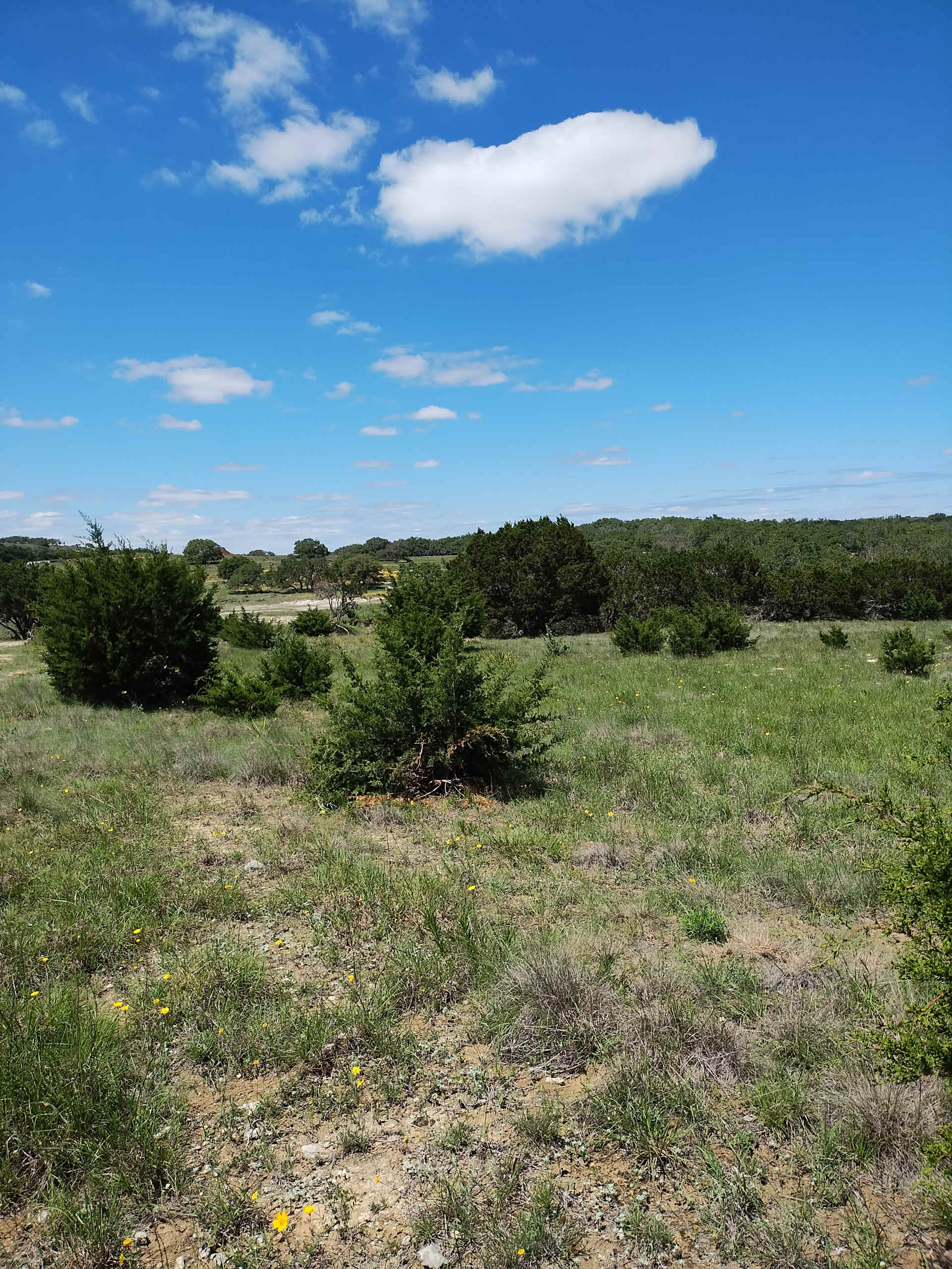 Goat Man Ranch - Photo 2