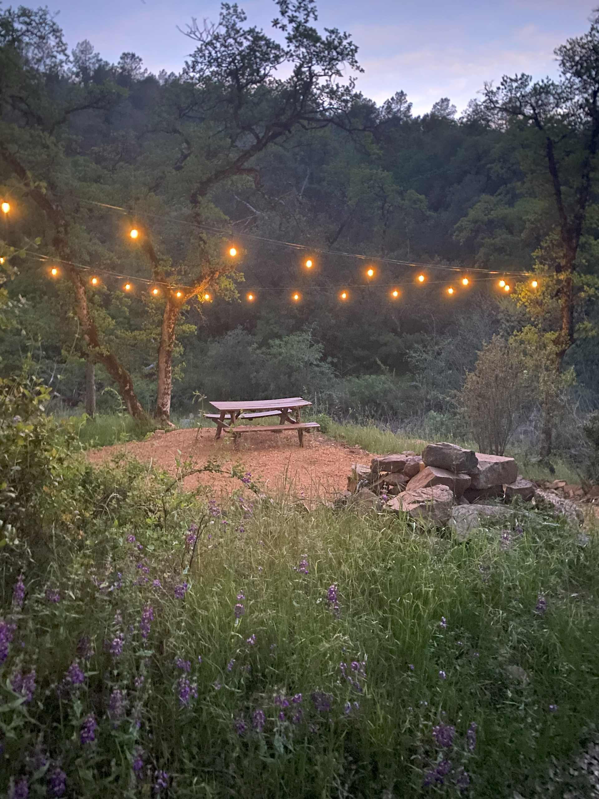 Red Dragonfly Ranch - Photo 3