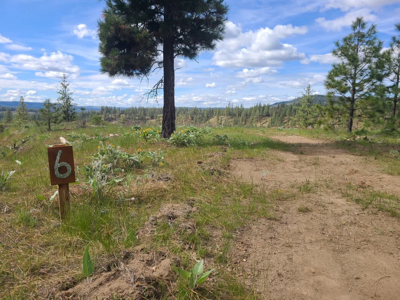 Mysty Meadows — photo 4