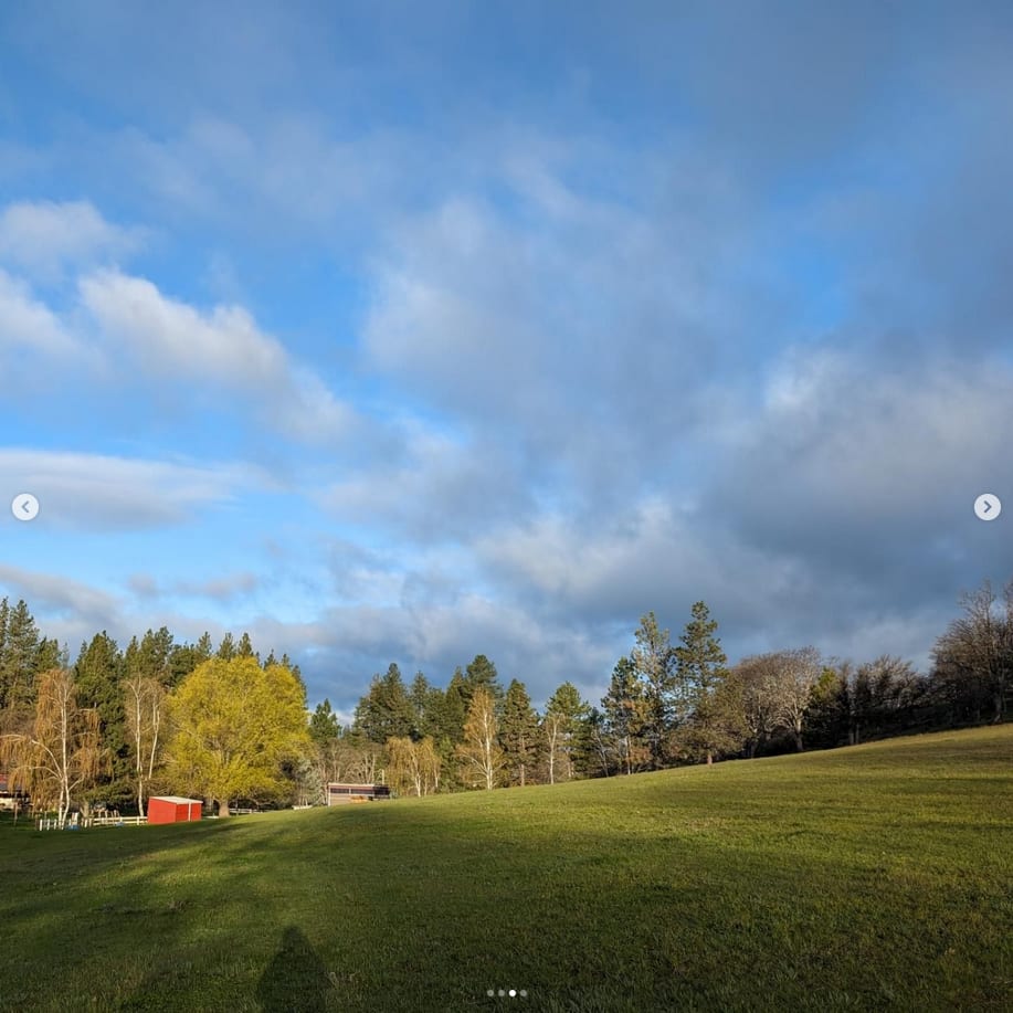 Dream Acres Homestead - Photo 3