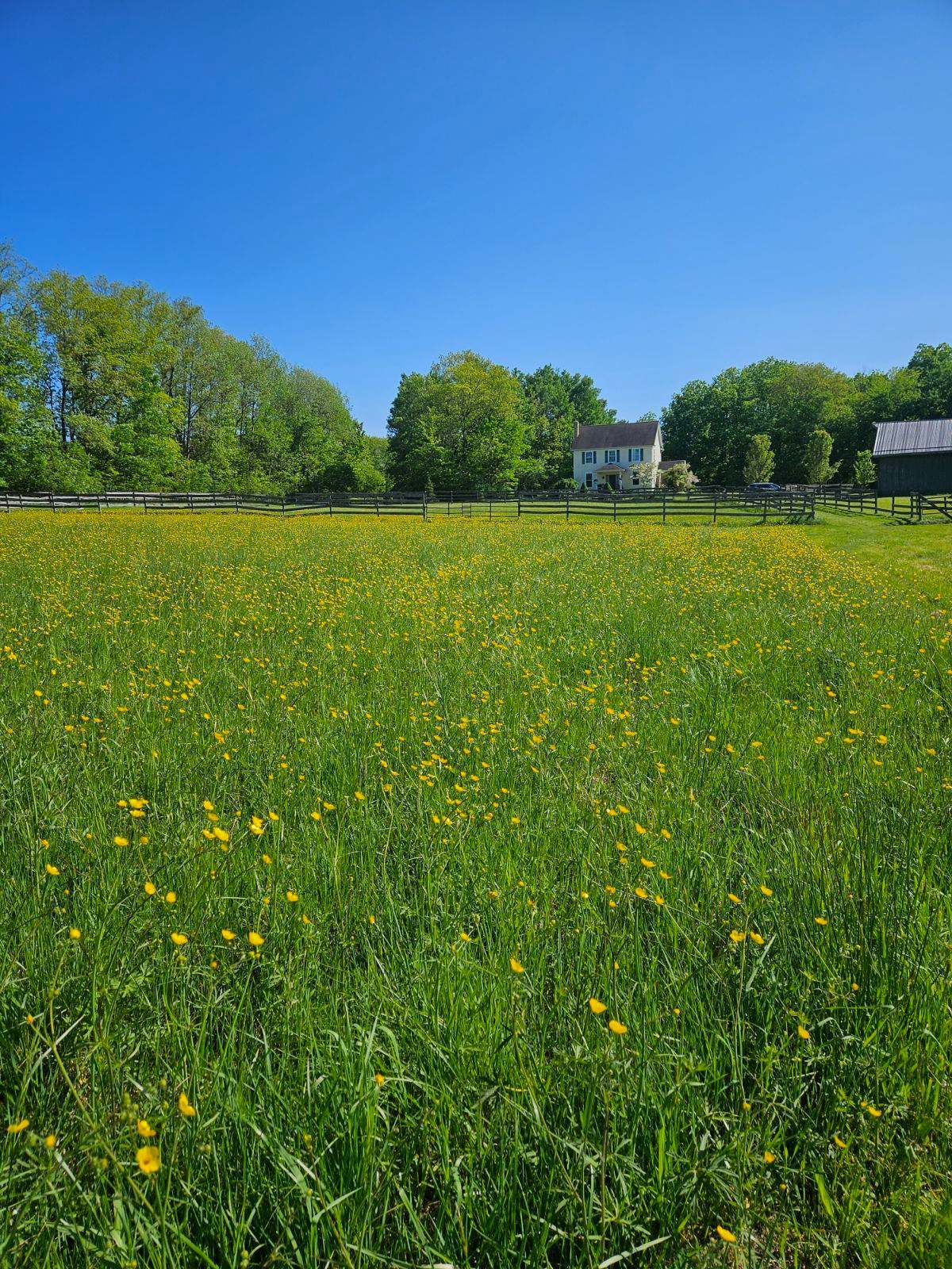 Rose Pointe Meadows - Photo 2