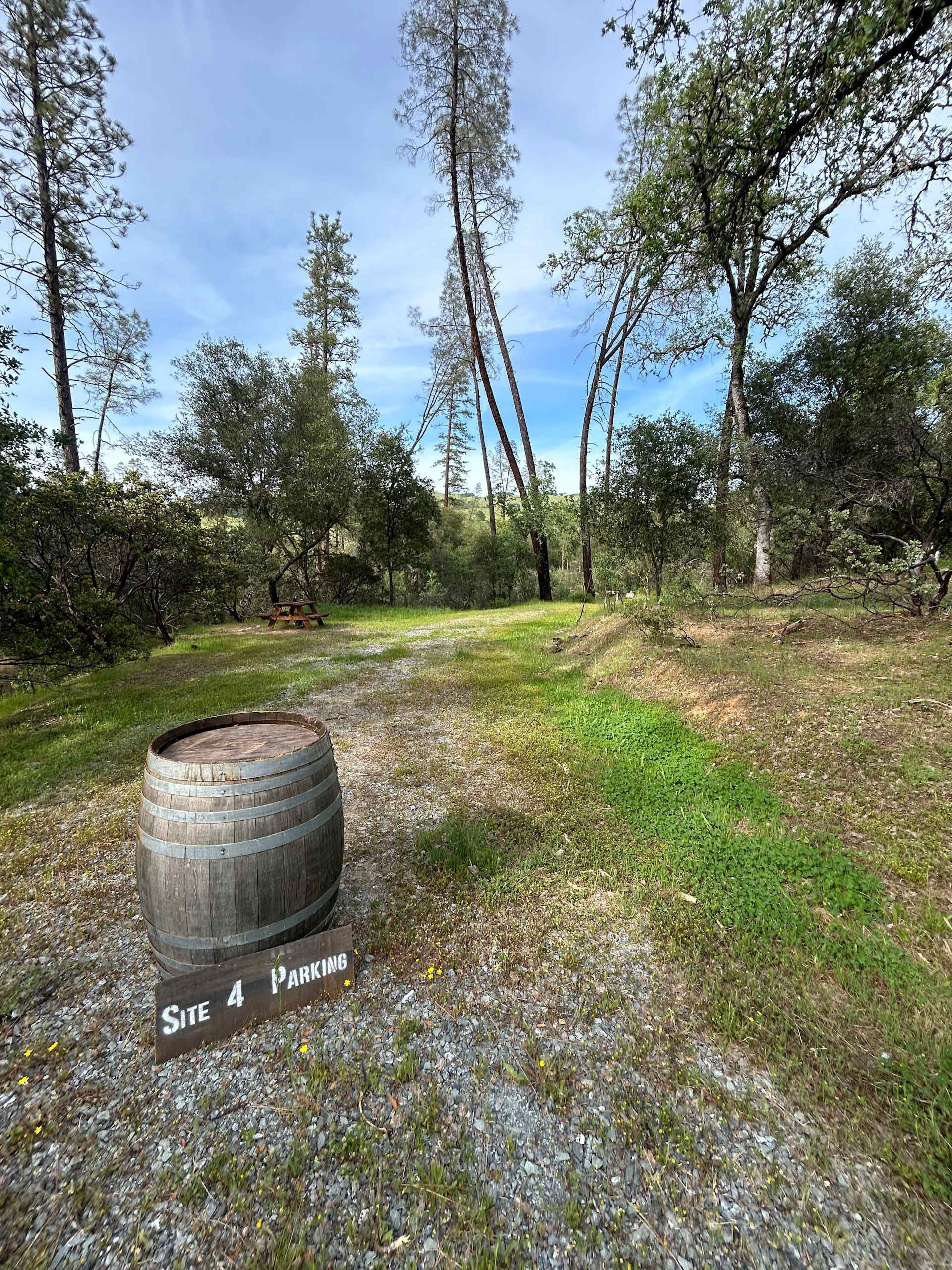 Picture of the site