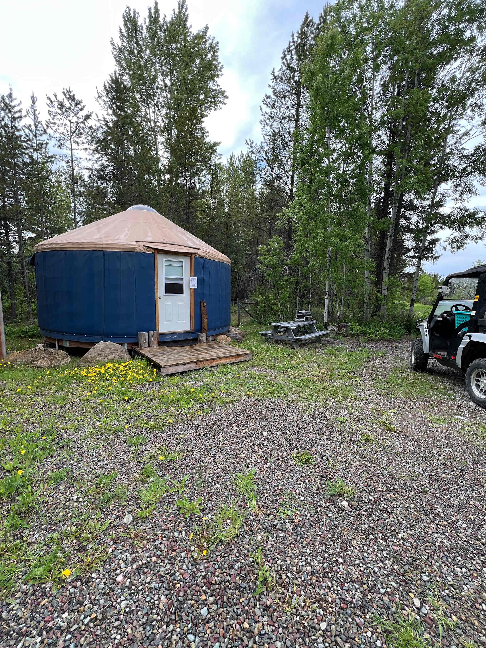 Picture of the site