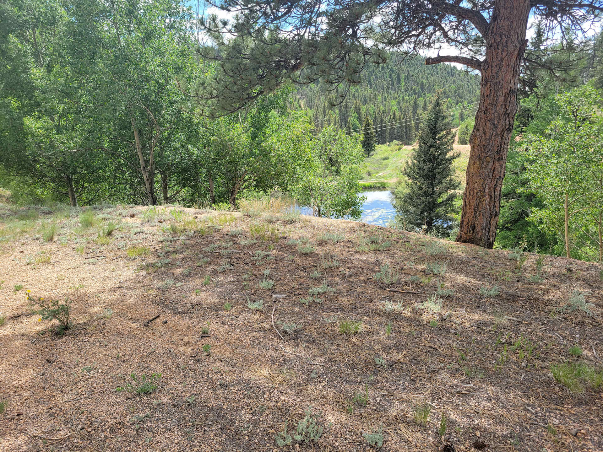 Yeti Sanctuary - Photo 3