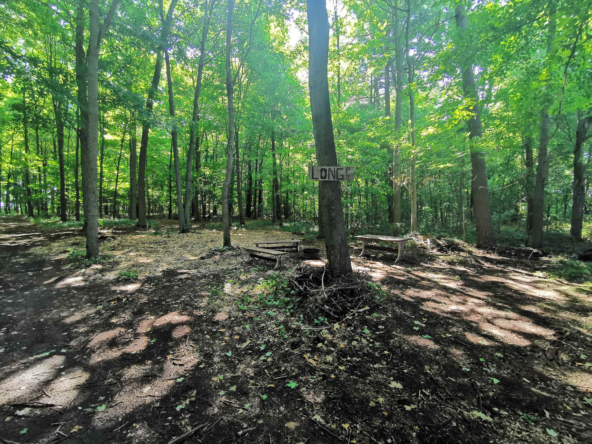 Spring Arbour Magic Forest &Trails!