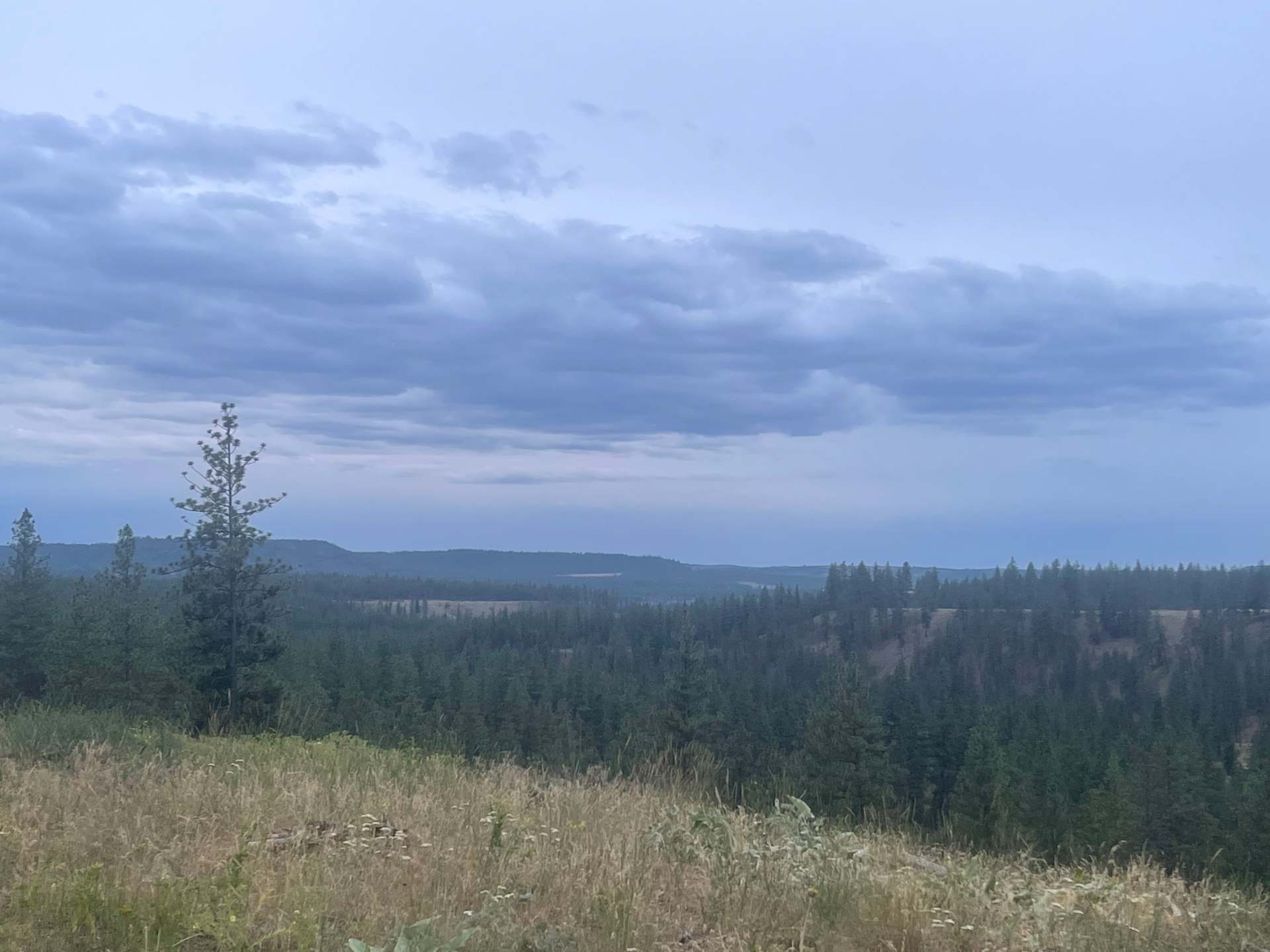 Mysty Meadows — photo 2