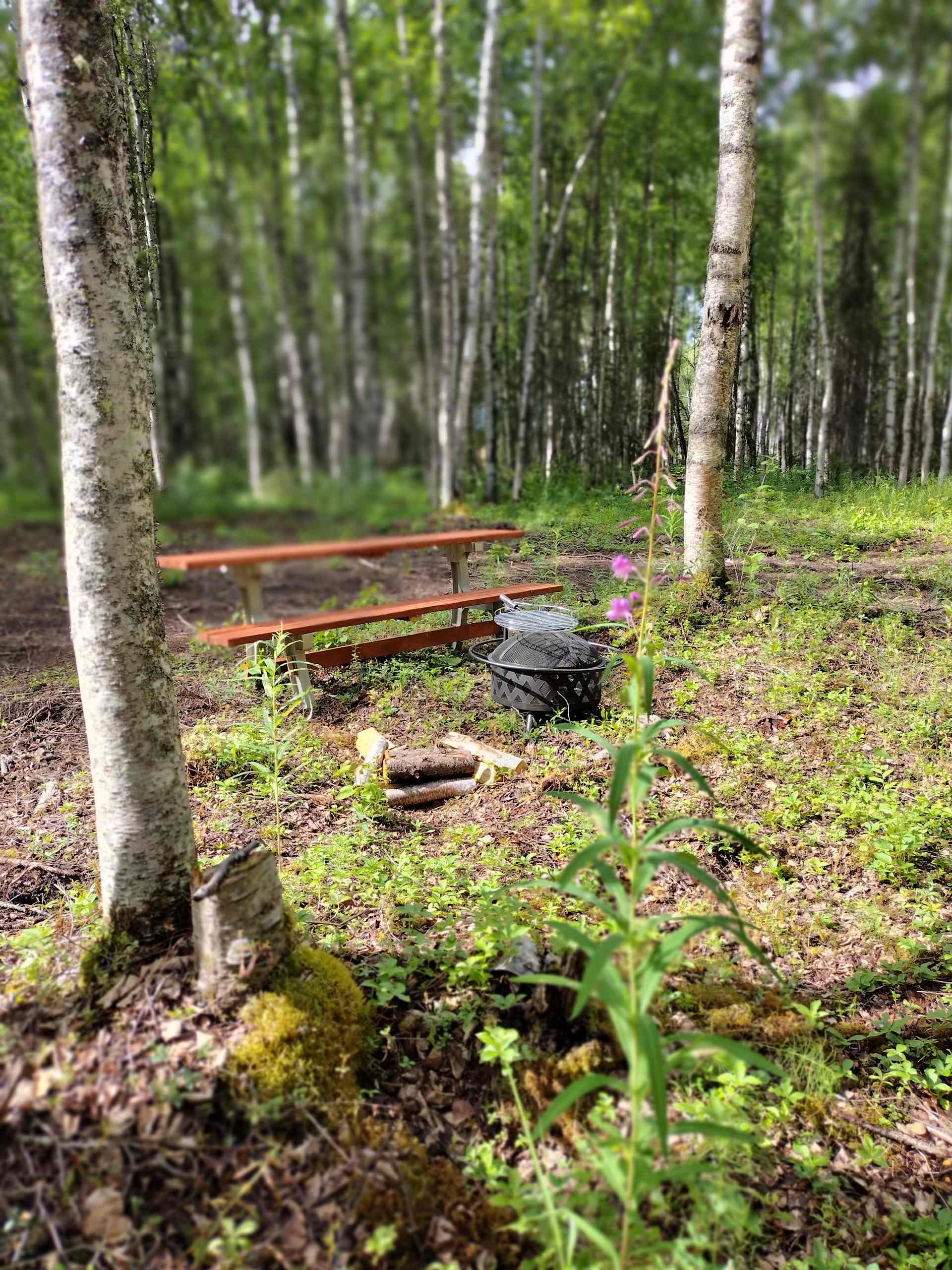 Creekside Campground - Photo 2