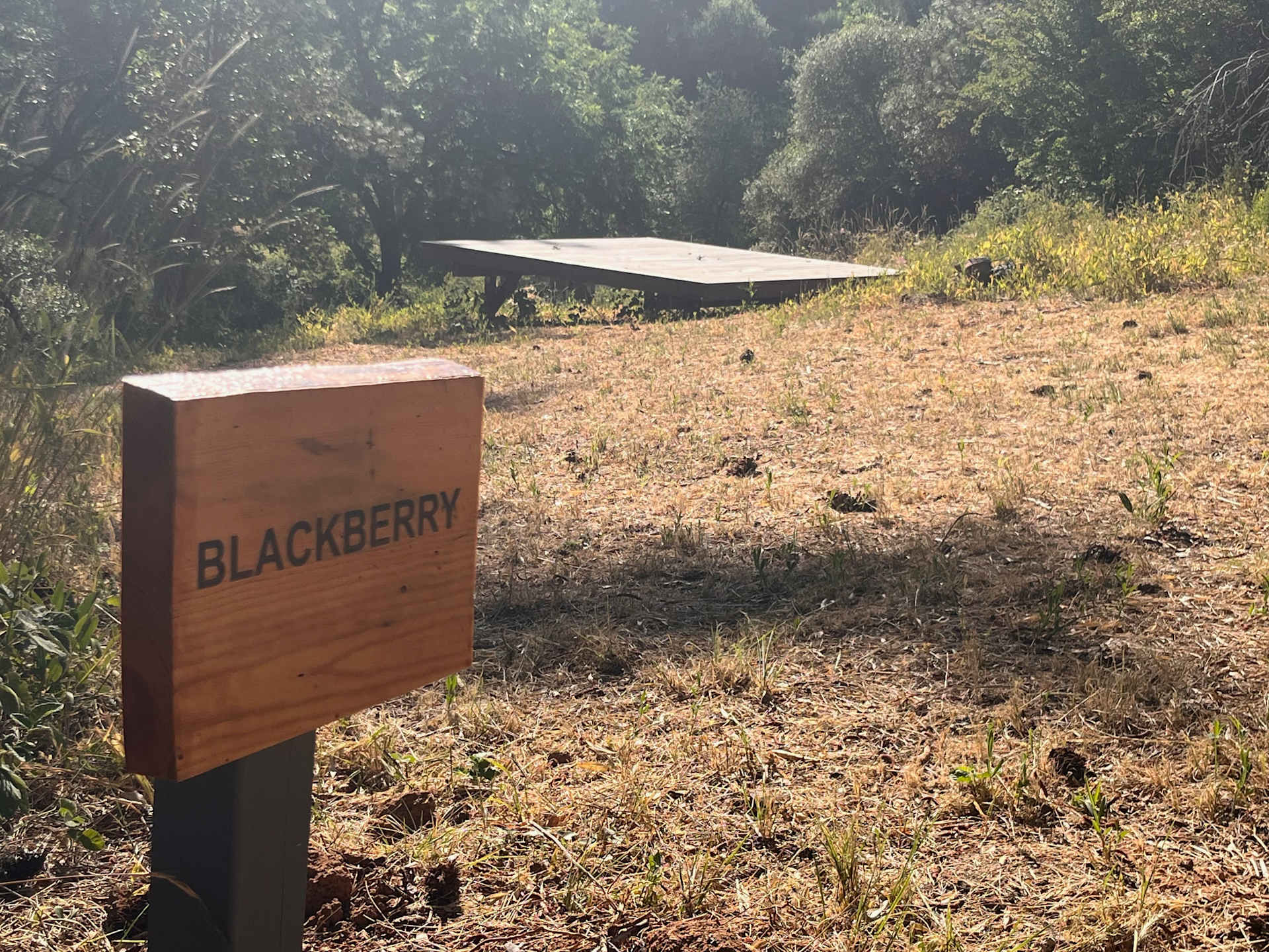 Picture of the site