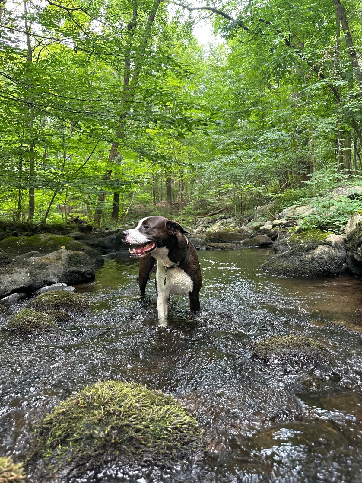 Best Camping in and near Bushkill Falls