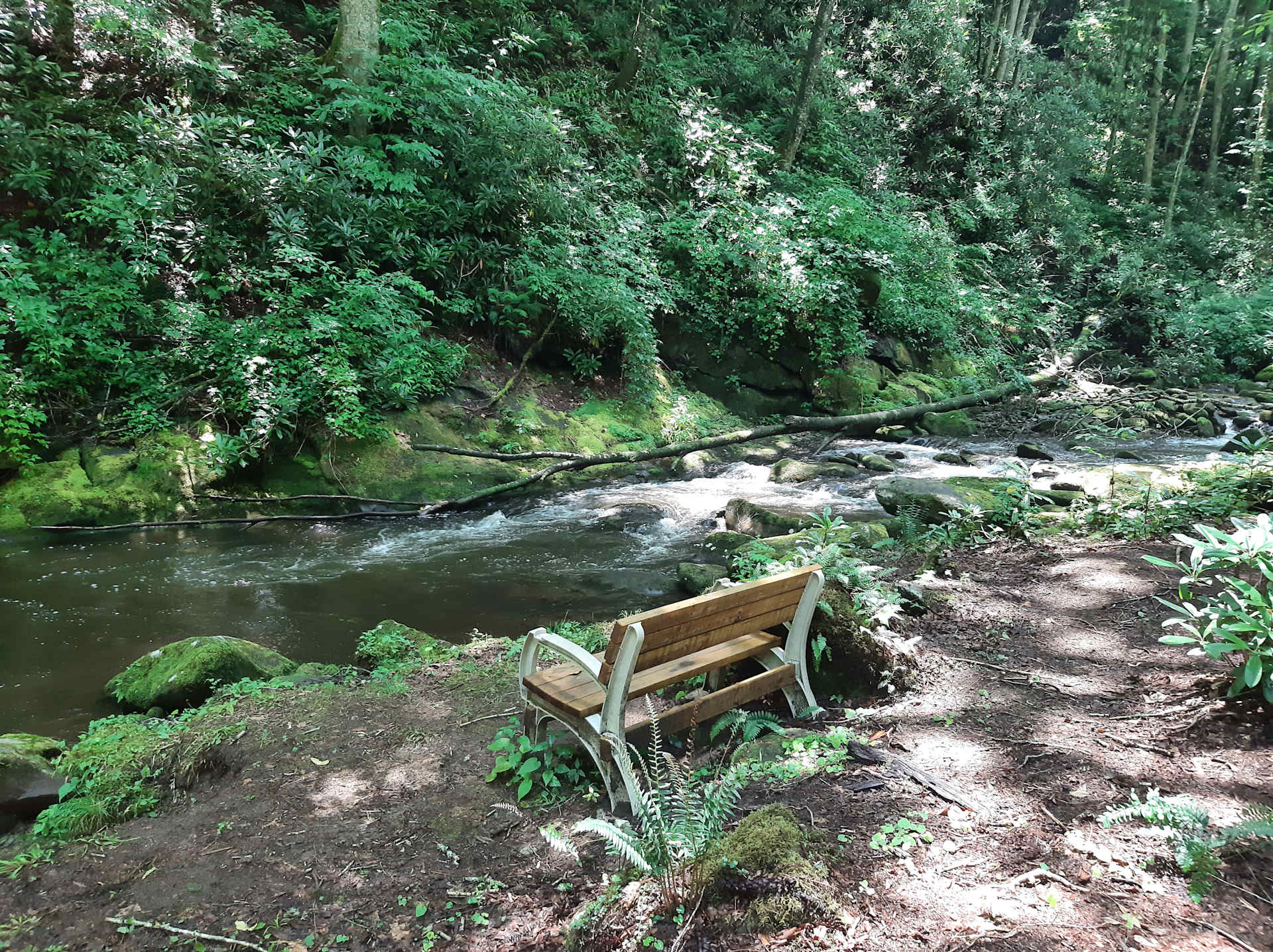 Mountain Creek Rest