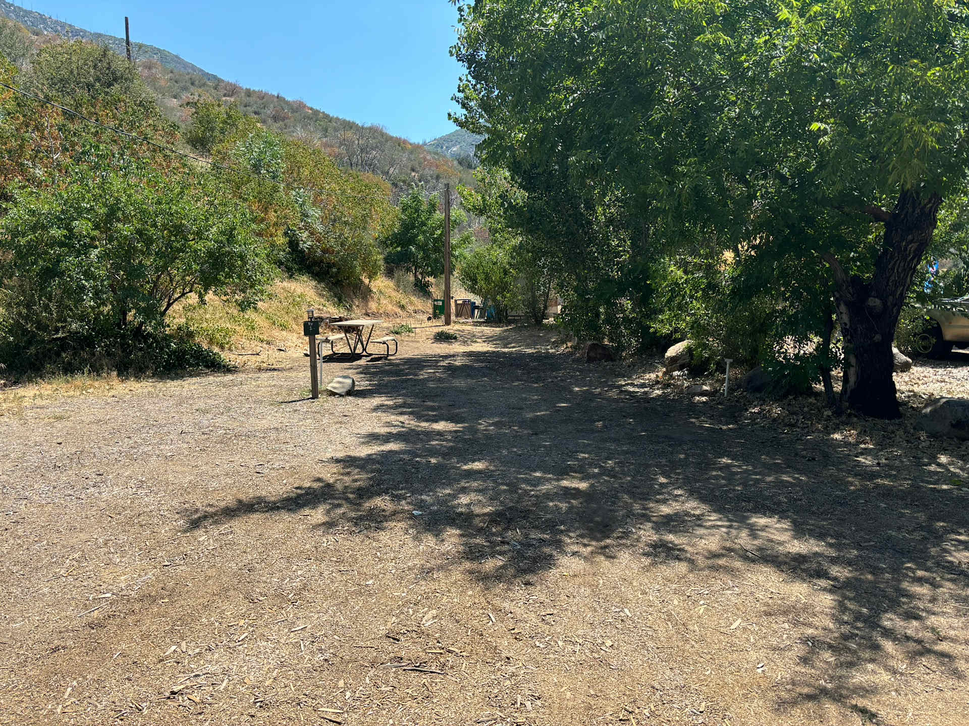 Picture of the site