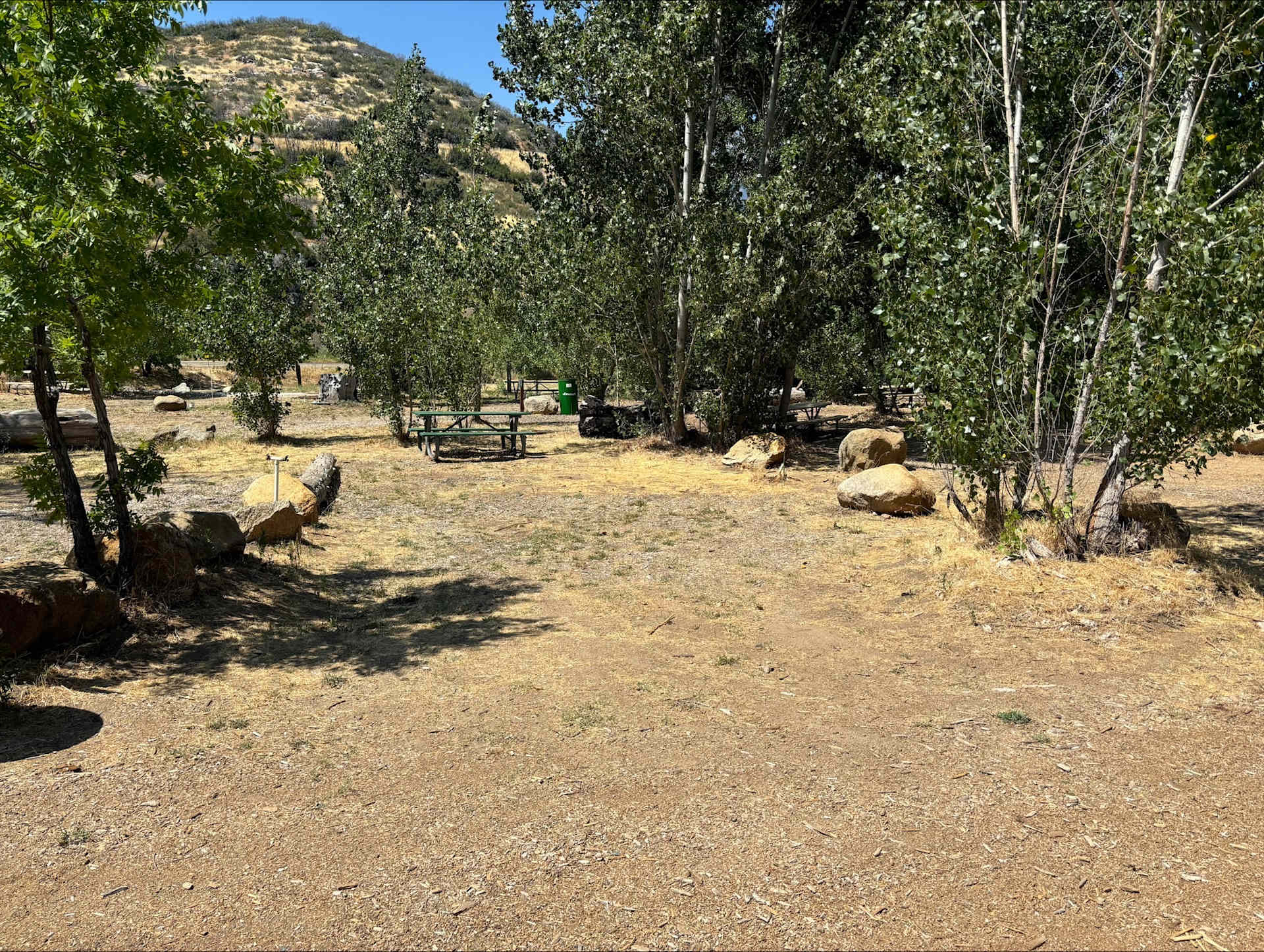Picture of the site