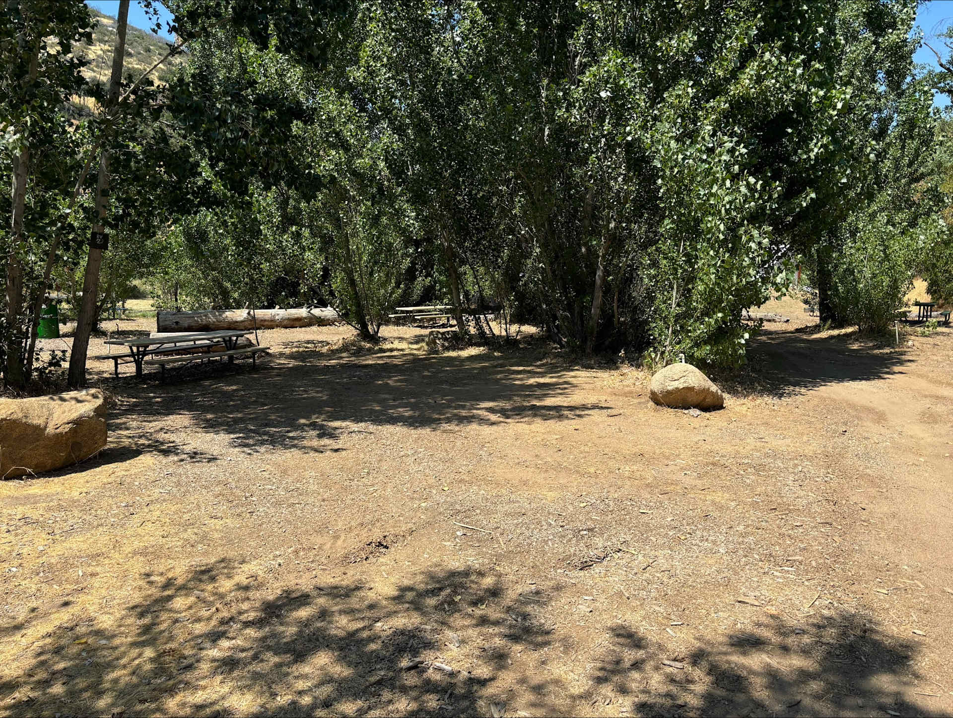 Picture of the site
