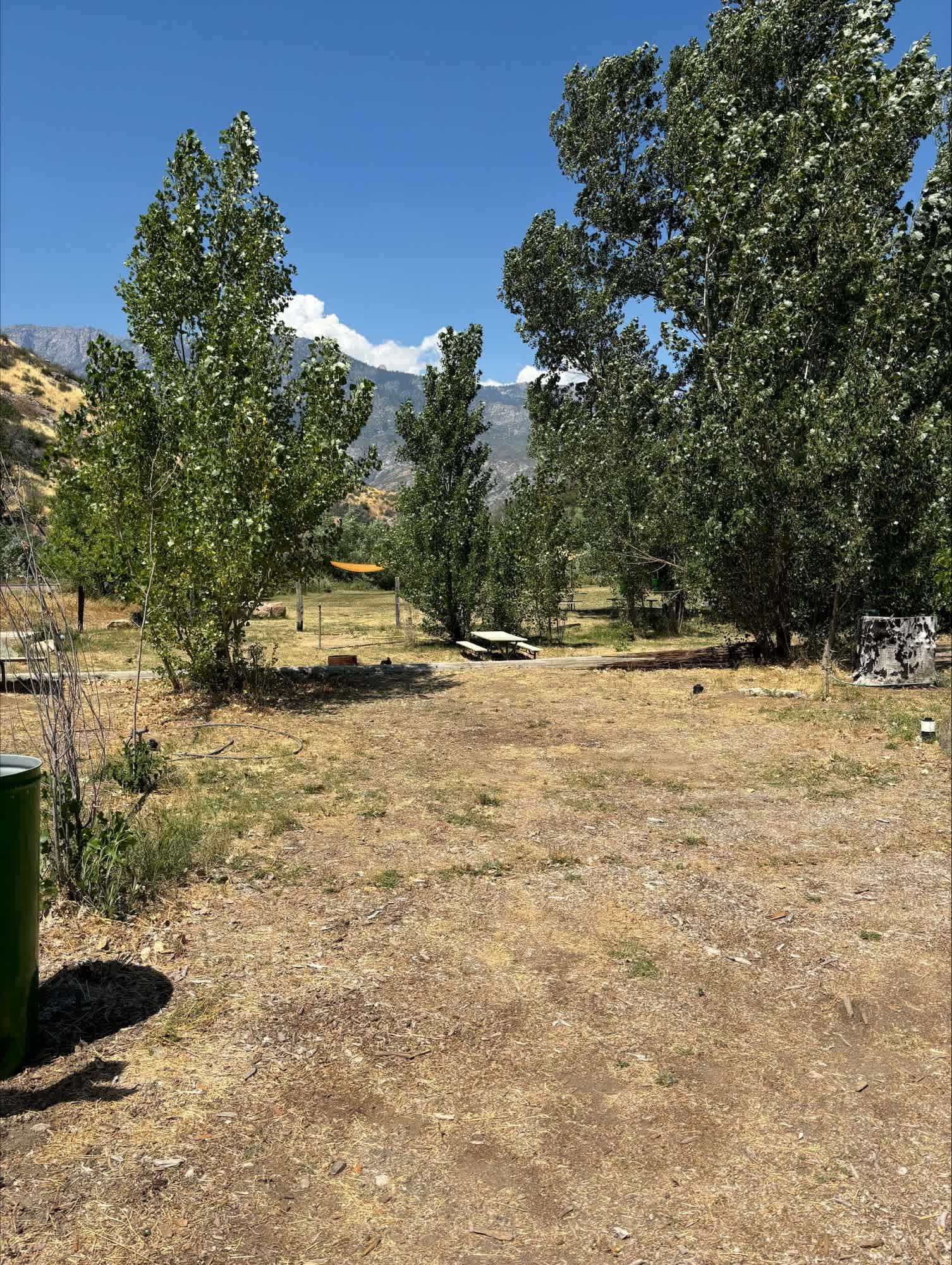 Picture of the site