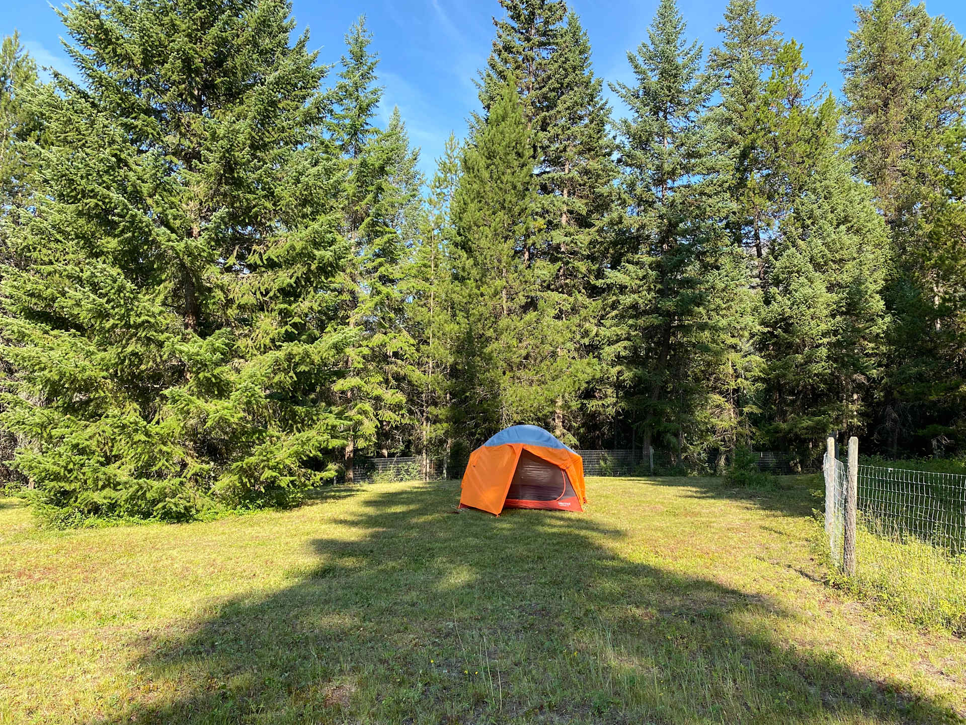 Tamarack Hill Farm - Photo 2