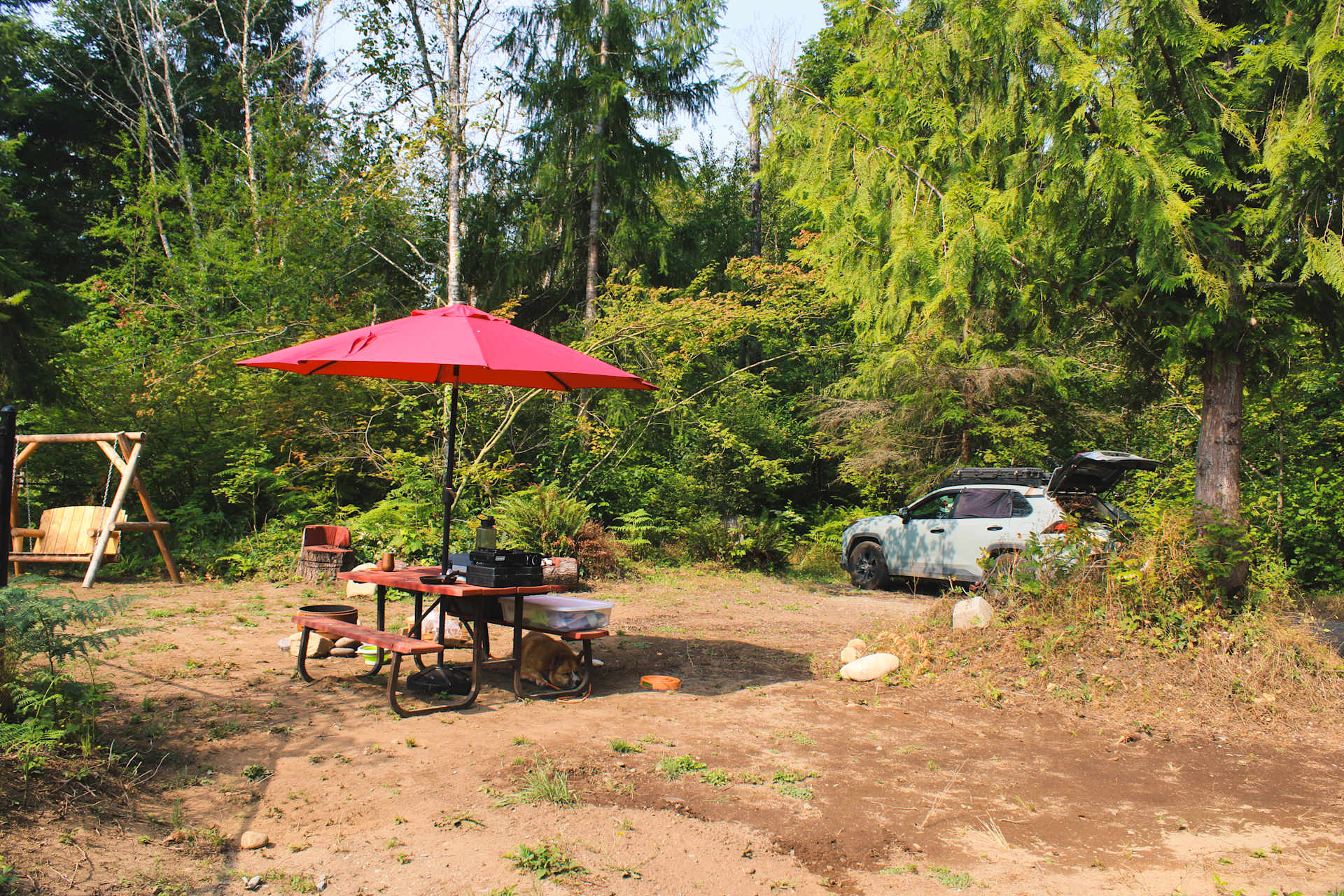 Riverside Camping Near Mt Rainier - Photo 3