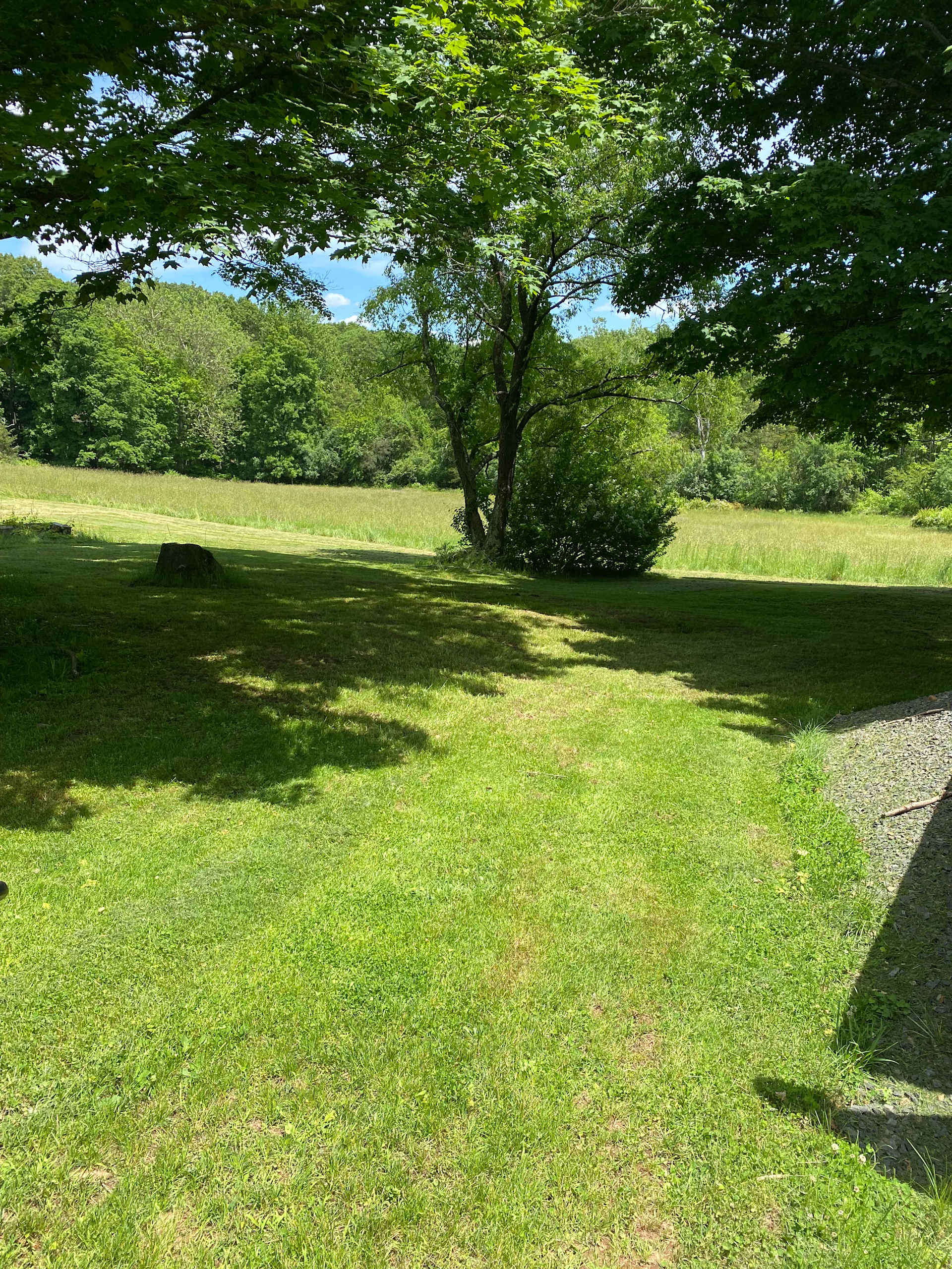 Greener Pastures Camp