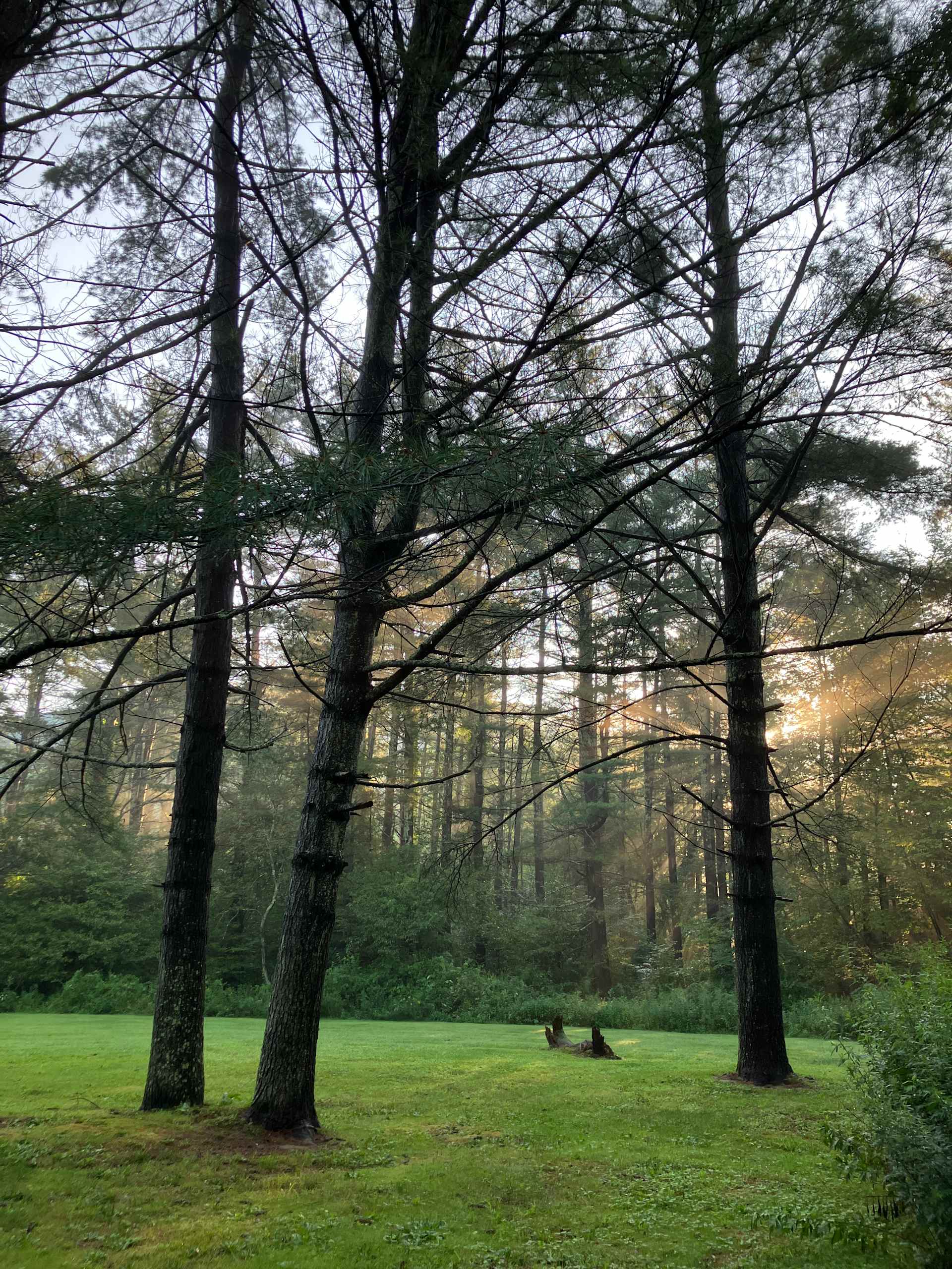 sun beams in the early morning illuminating the campsite
