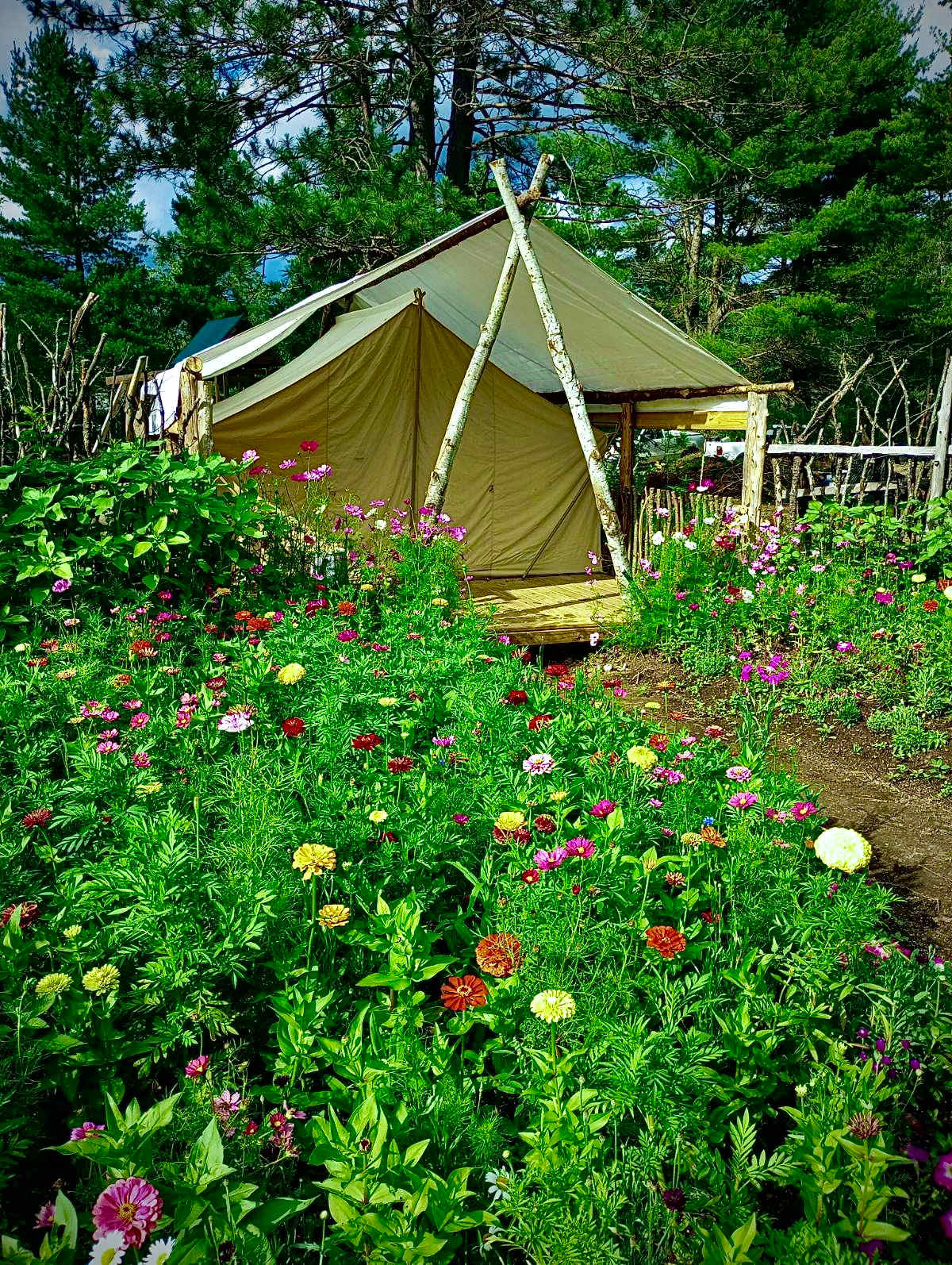 Stoney Moose BnB - Hipcamp in Gwinn, Michigan