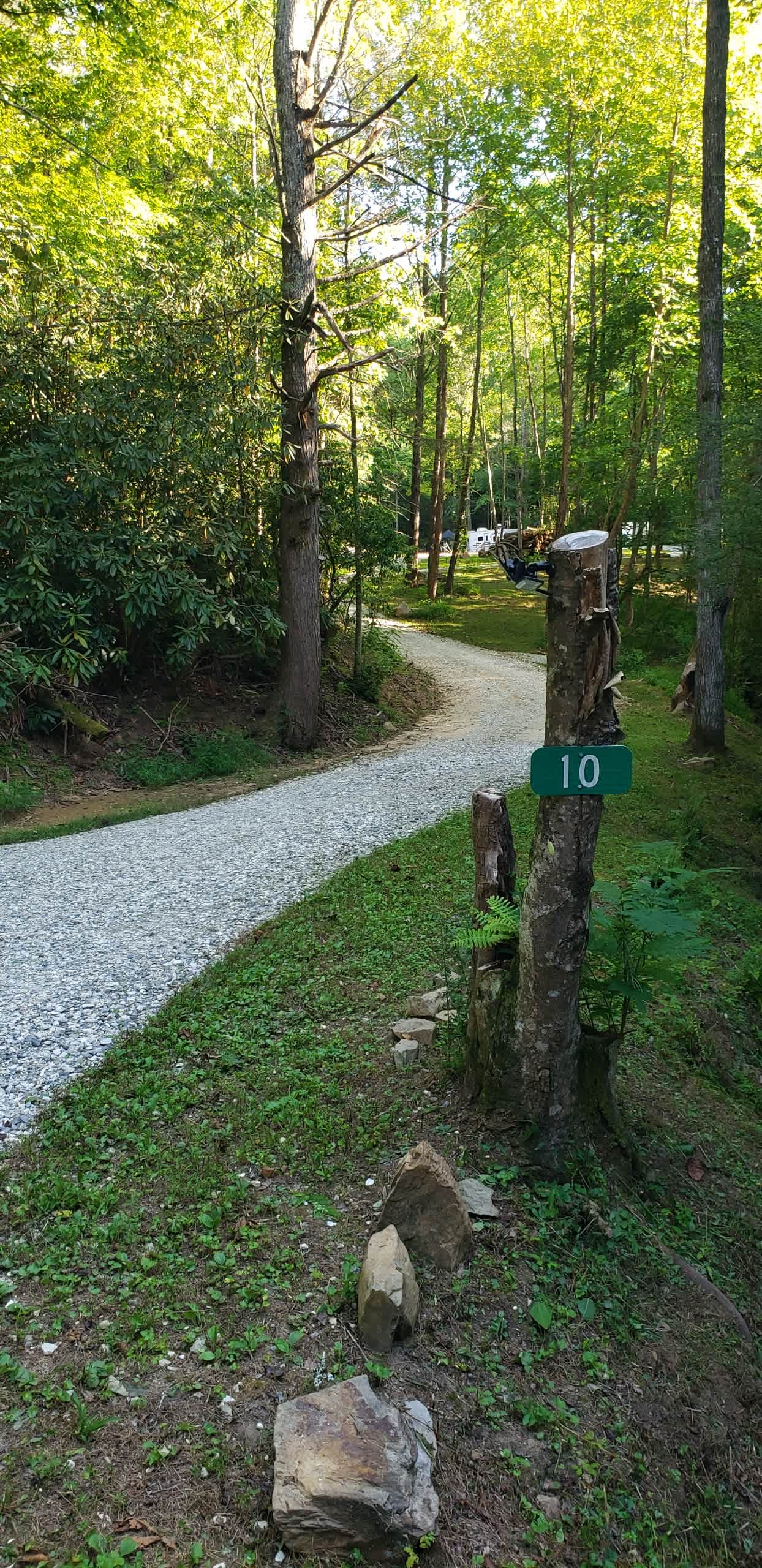 Love Shack Hideaway Hipcamp in Robbinsville, North Carolina