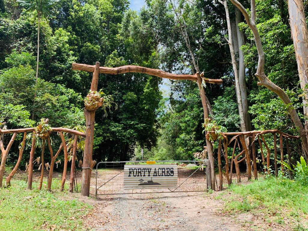 "40 Acres" - Photo 2