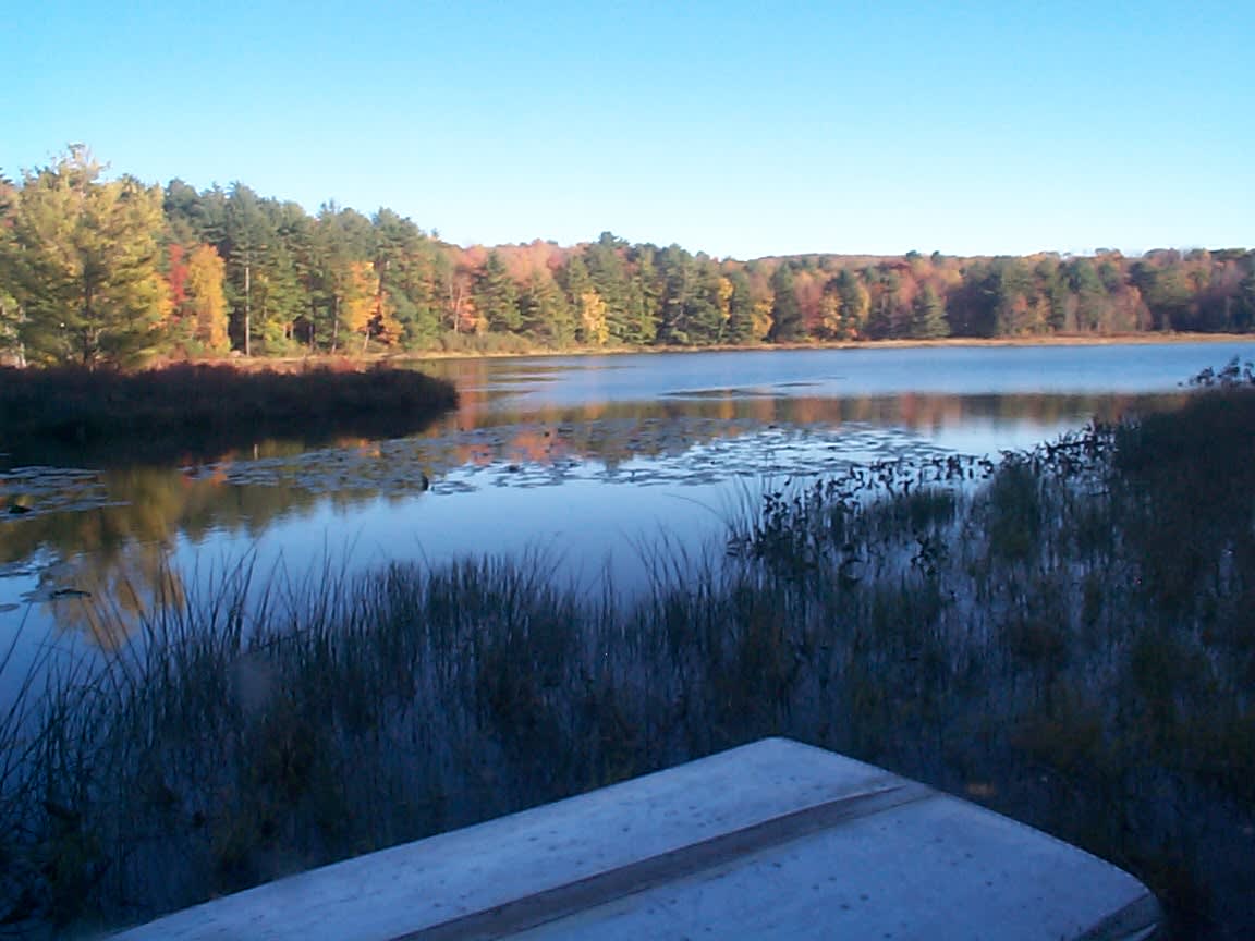 Justamere camp Hipcamp in Susquehanna, Pennsylvania - Main Image