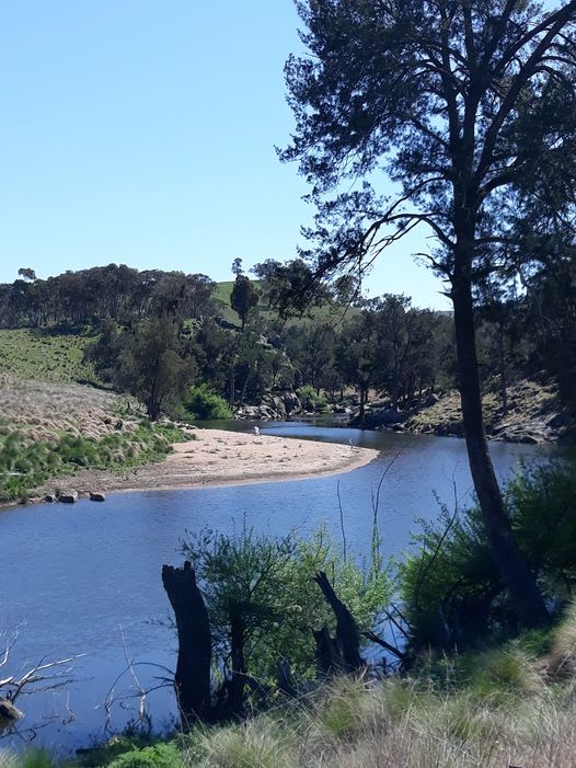 Rockytop Family Bush Retreat Hipcamp in Bathurst, New South Wales