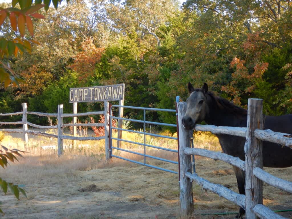 Camp Tonkawa Woods Horse Camp Hipcamp in Collinsville, Texas