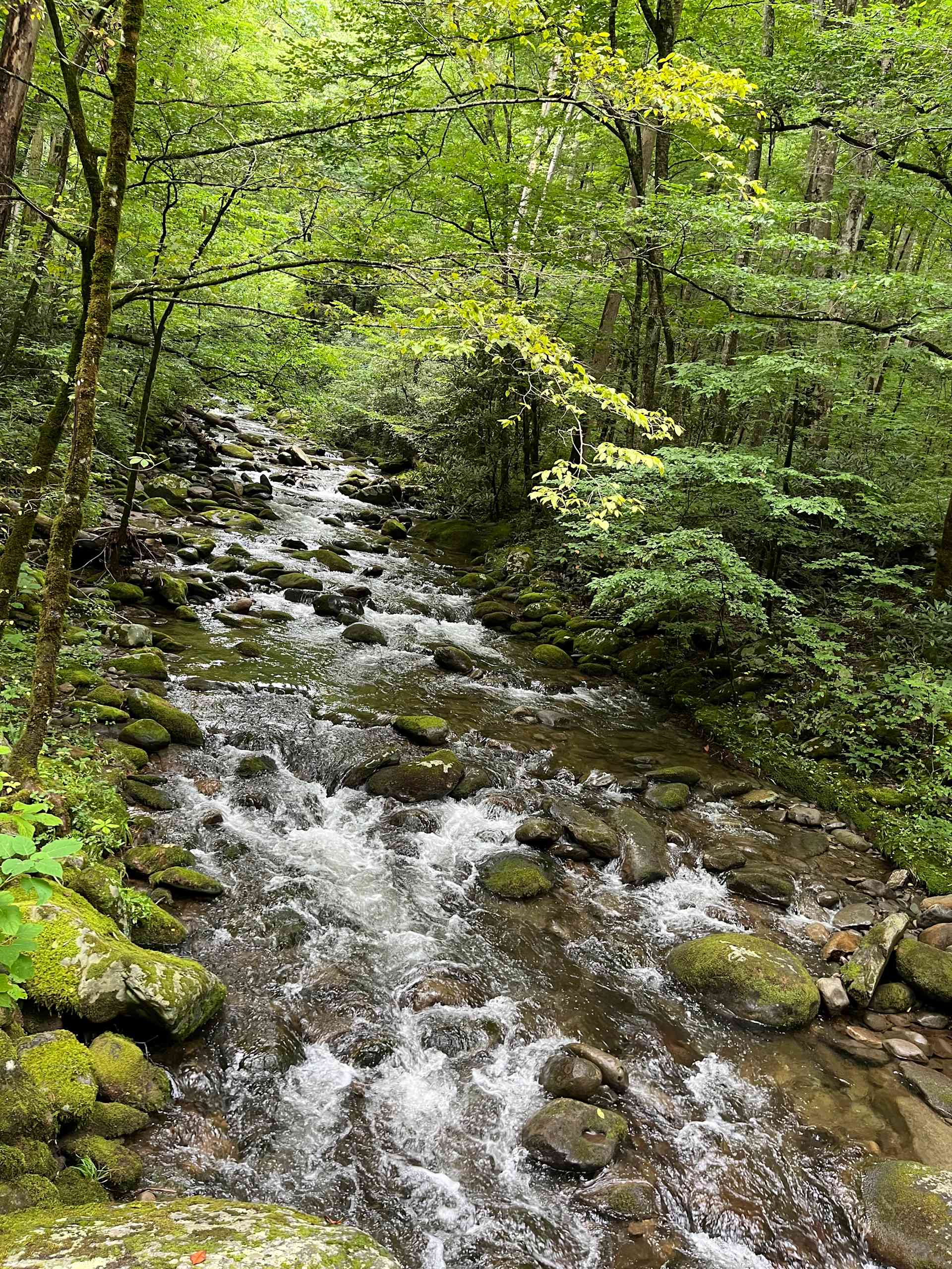 Smokey Mountain Nature Retreat - Photo 2