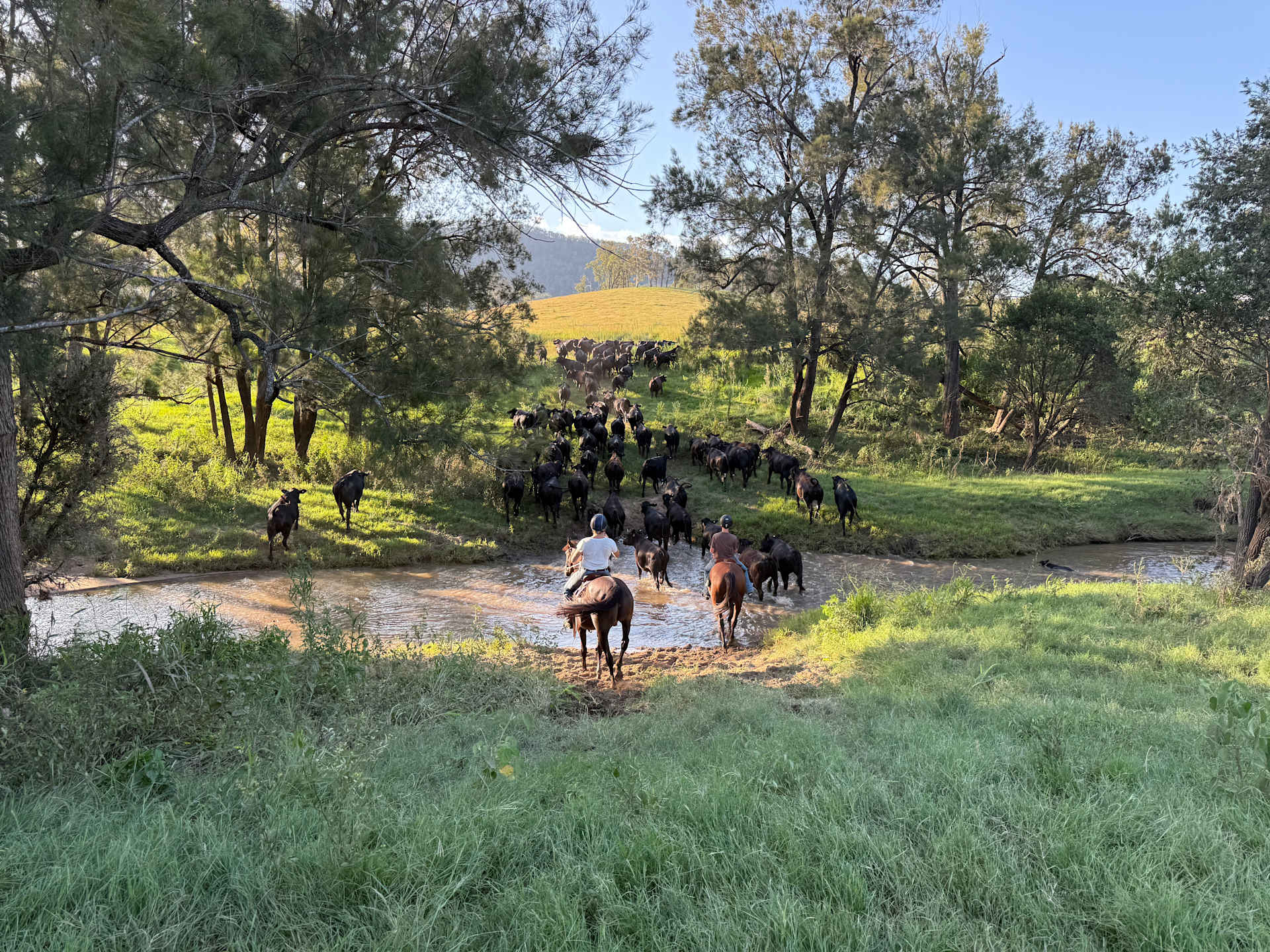 Juburra Country Camping - Photo 2
