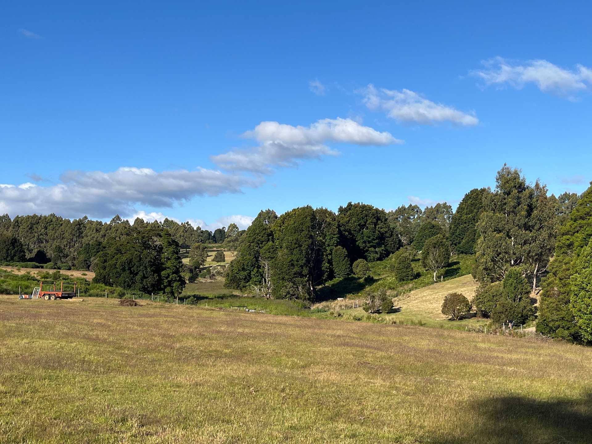 Waratah Alpaca and Pepperberry Farm