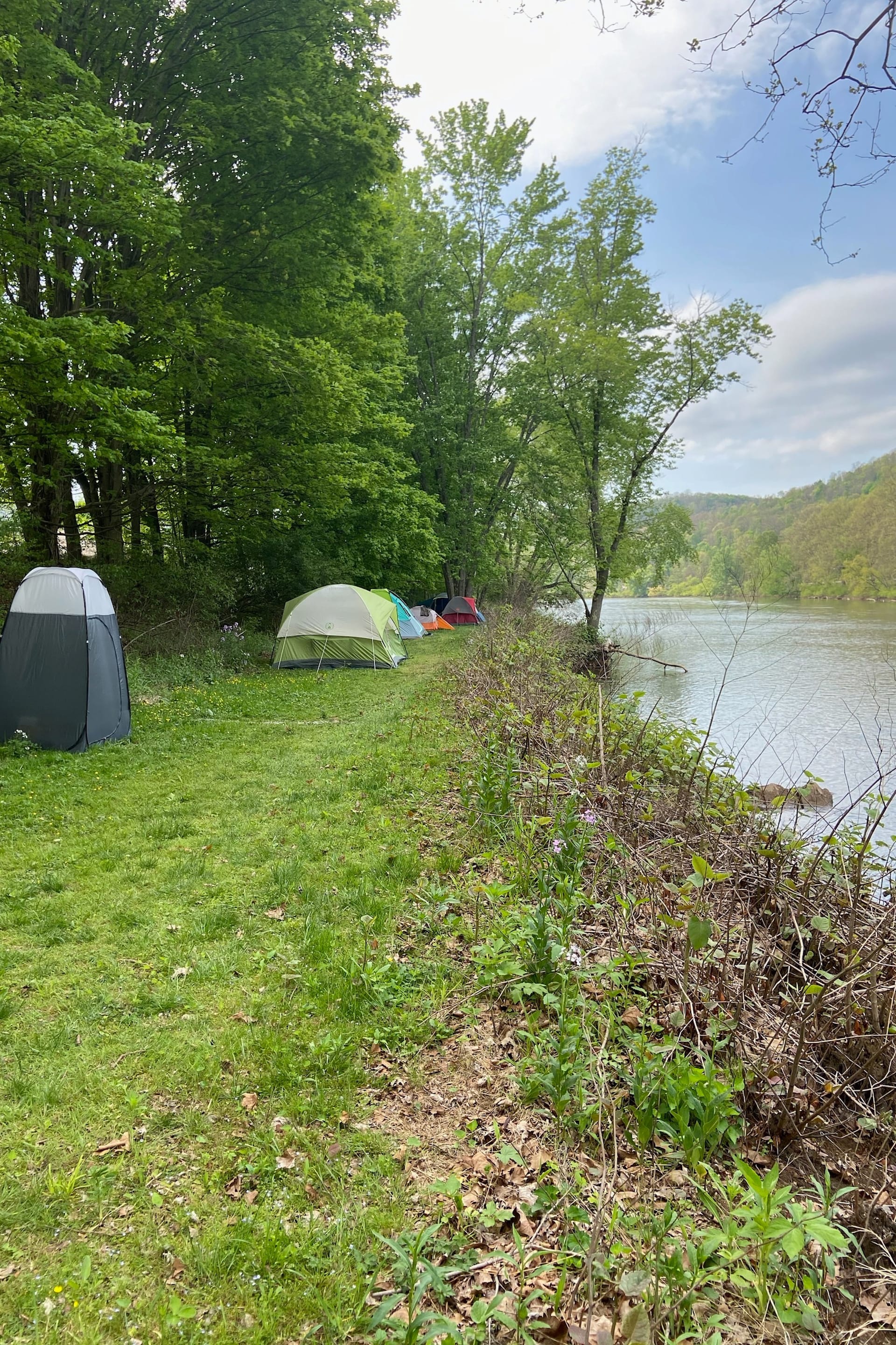 Best camping in Youghiogheny River Lake, PA 2026