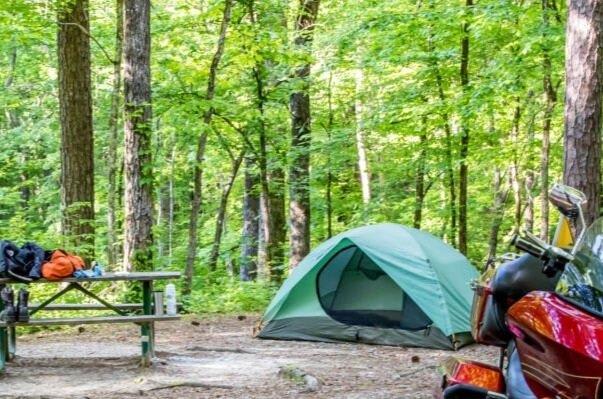 Dragon City Resort Hipcamp in Maryville, Tennessee