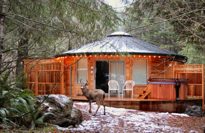Stormking Cabins and Spa Hipcamp in Ashford, Washington