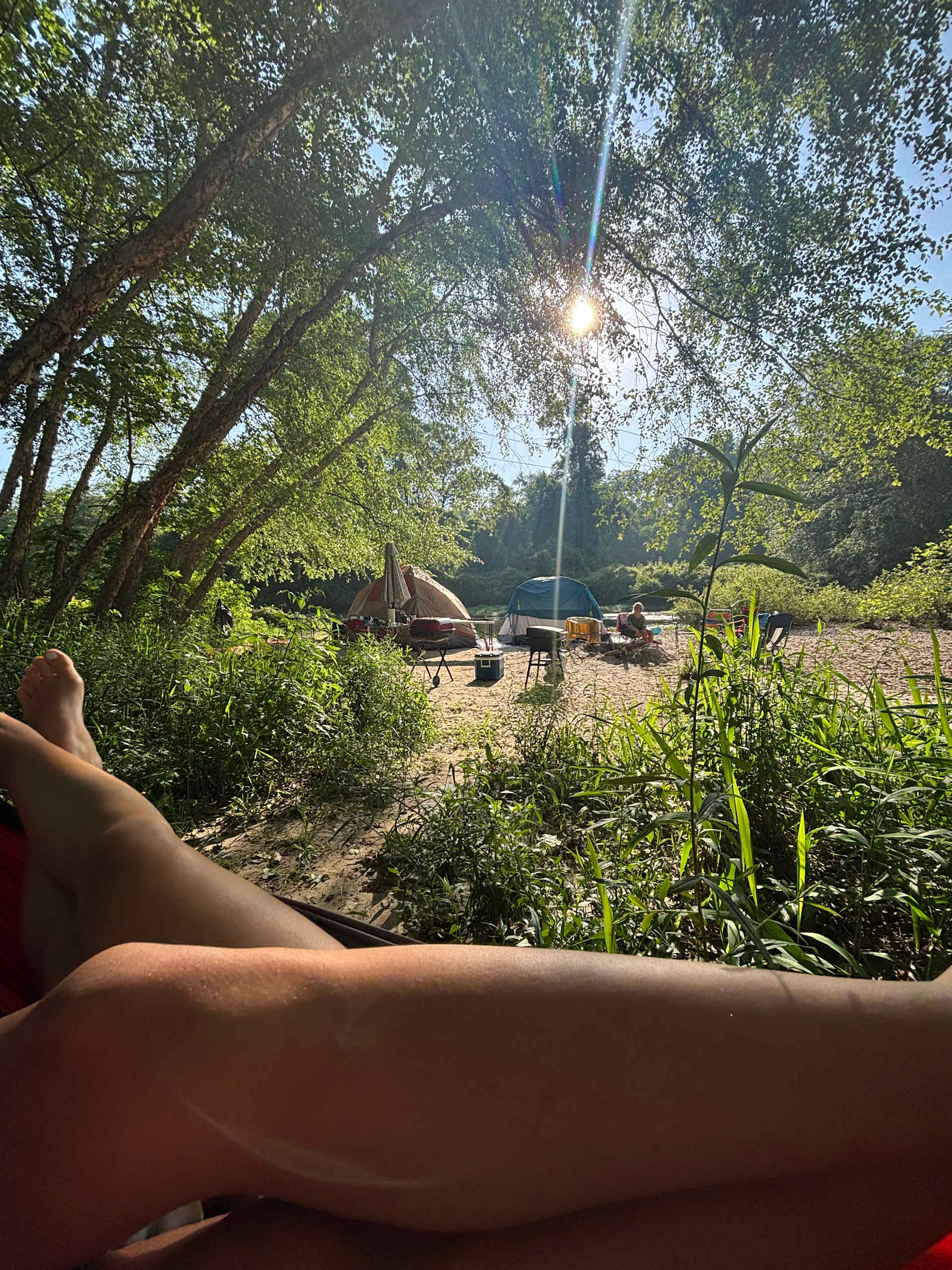 Hammocks