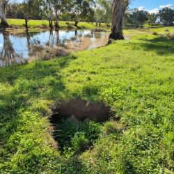 Picture of the site