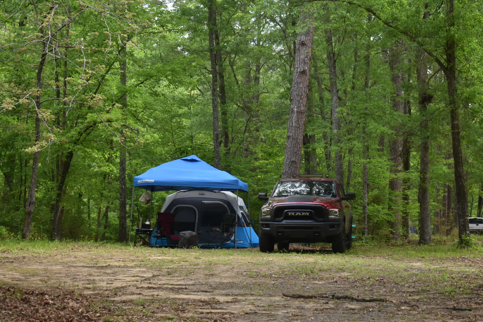 Picture of the site