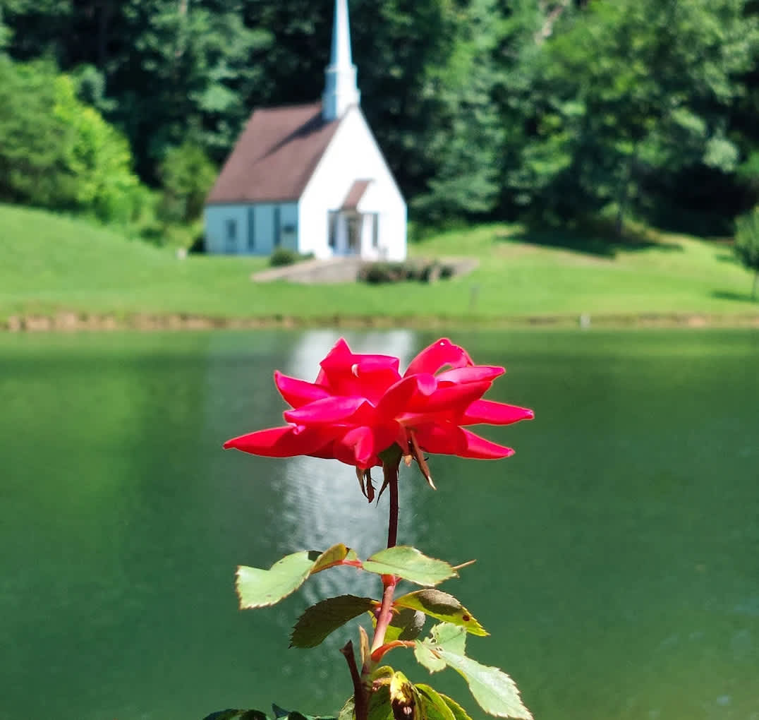 Rippling Waters Campground - Hipcamp in Kenna, West Virginia