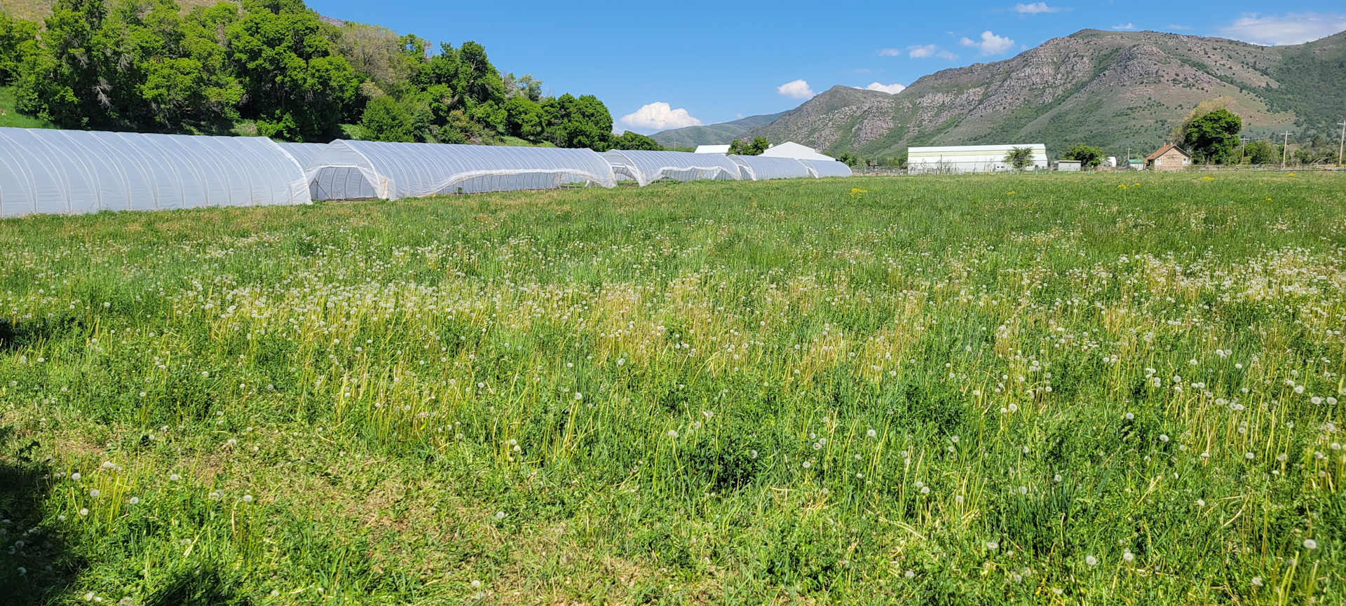 Better Food Farm