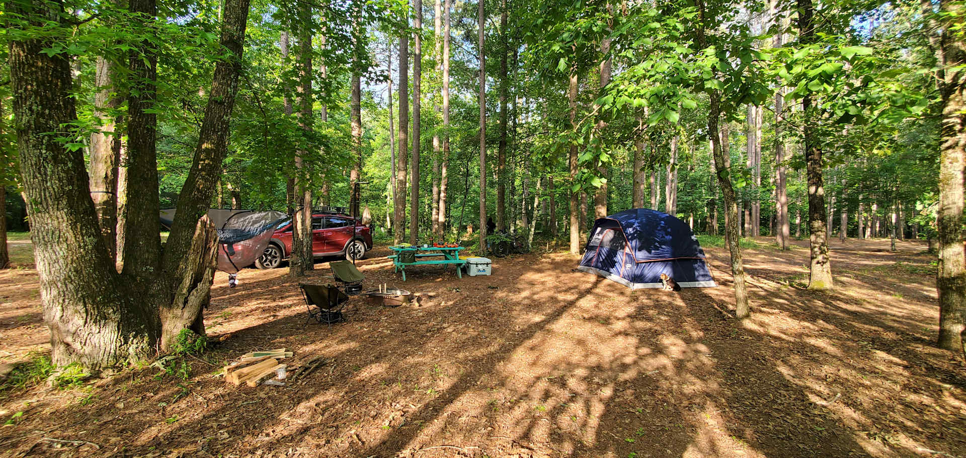 Picture of the site