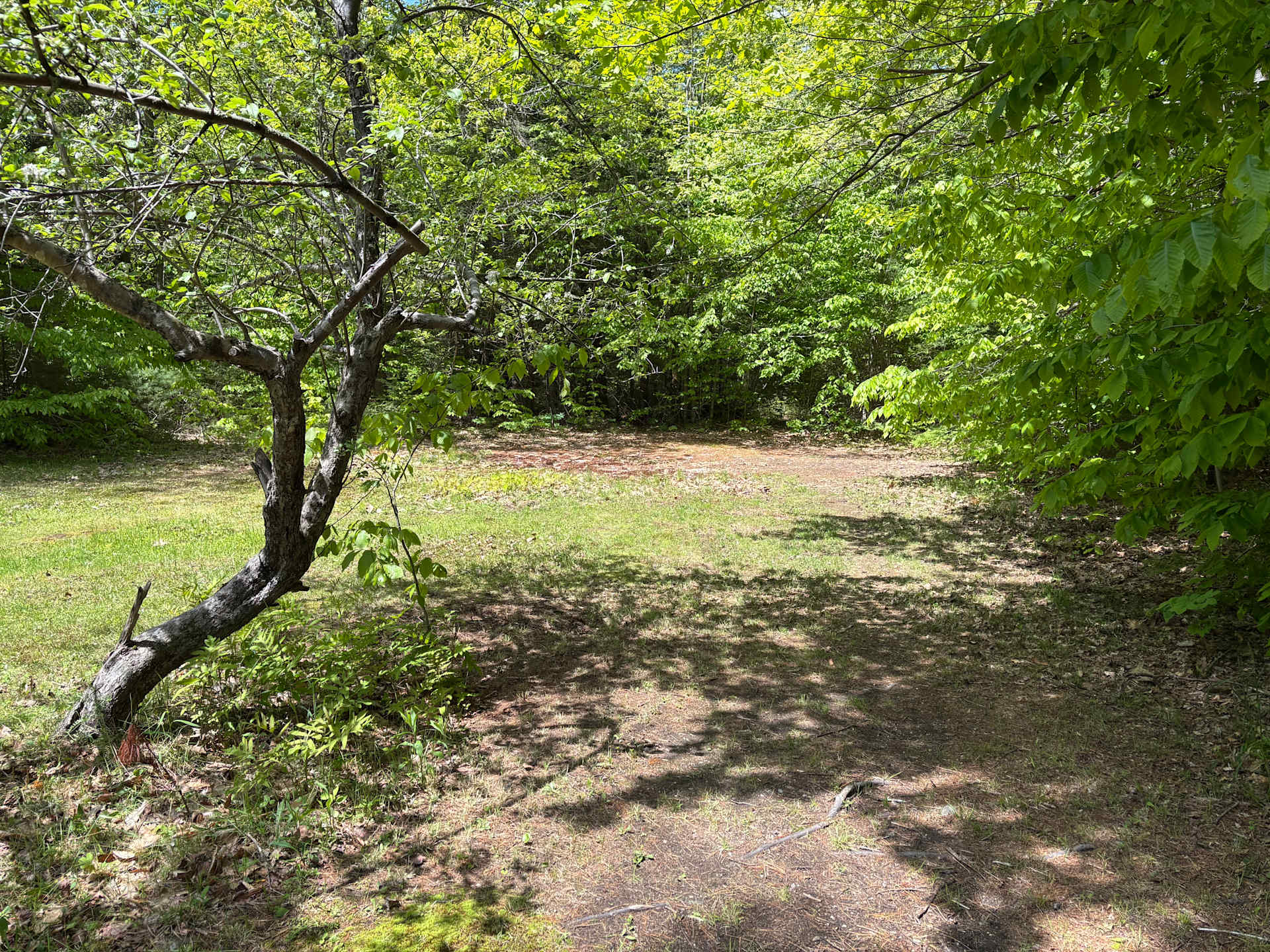 Camp KH - Photo 3