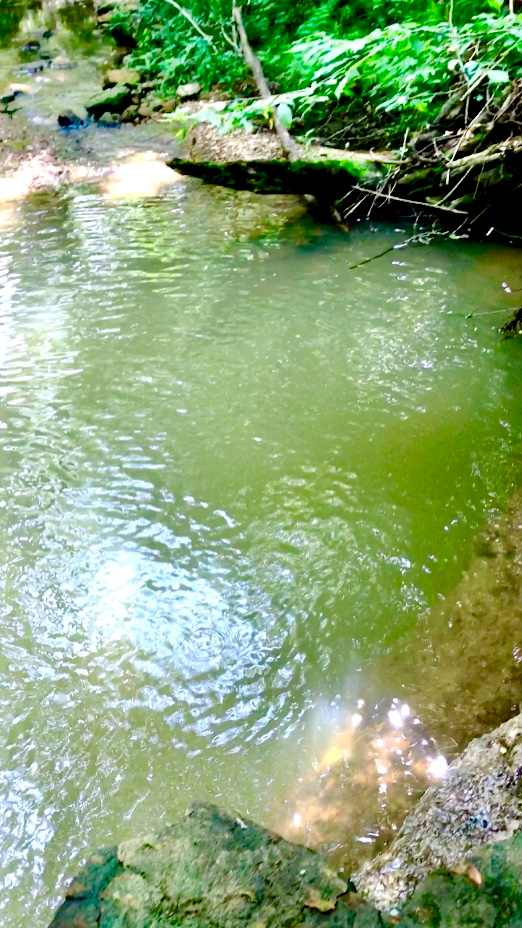 Pool area of the 3’ waterfall