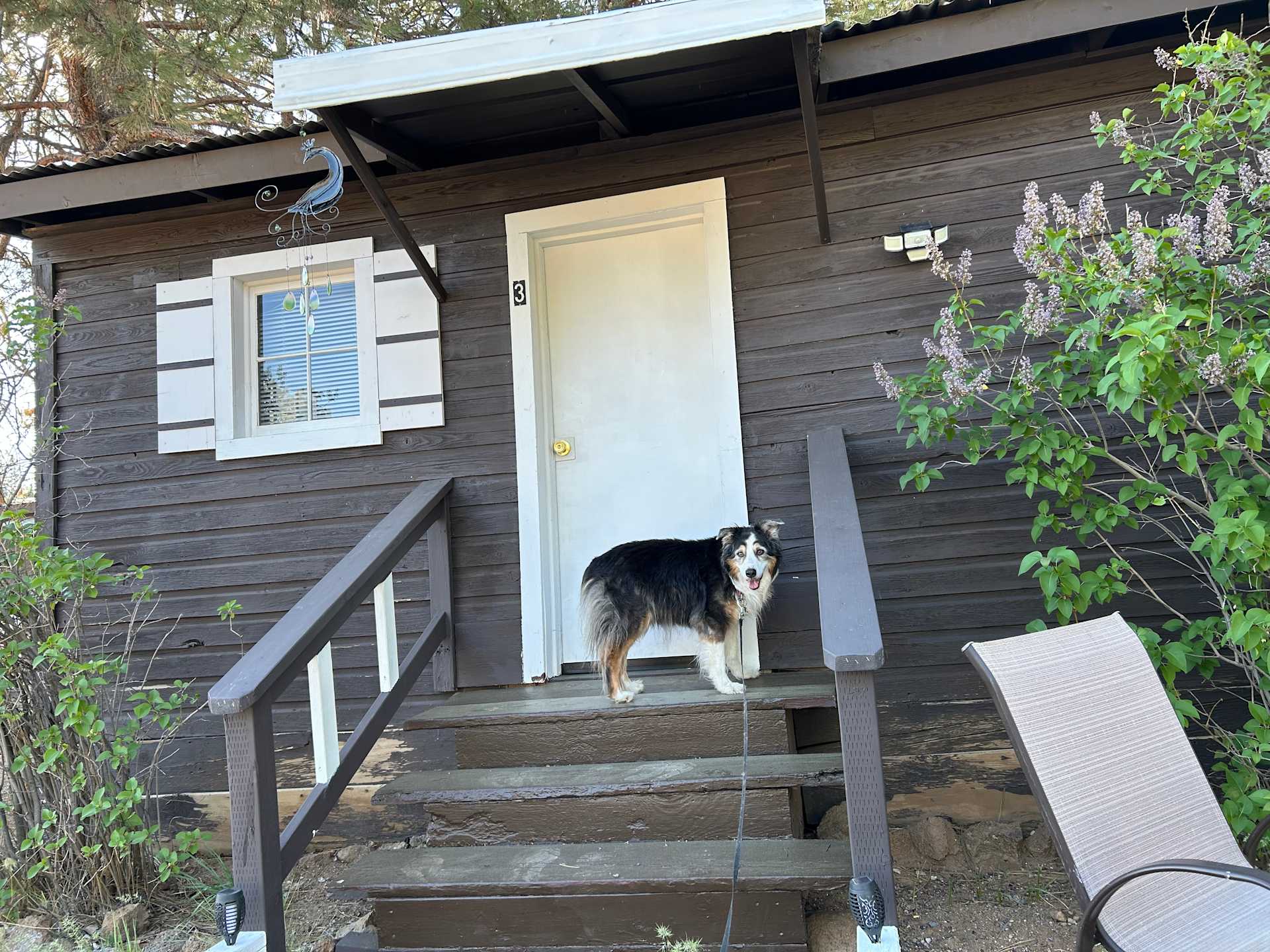 Hawk's Nest RV & Cabin Park