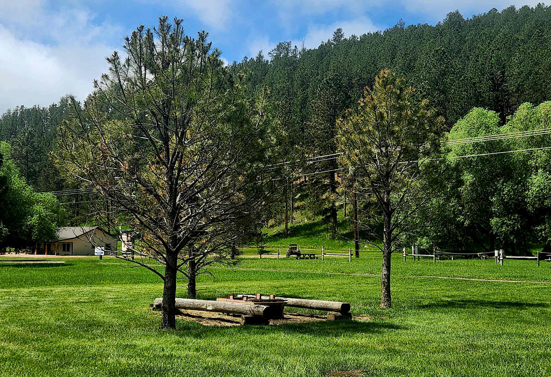 Picture of the site