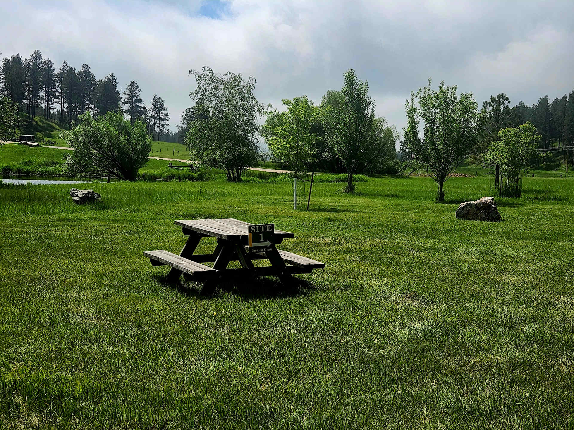 Picture of the site