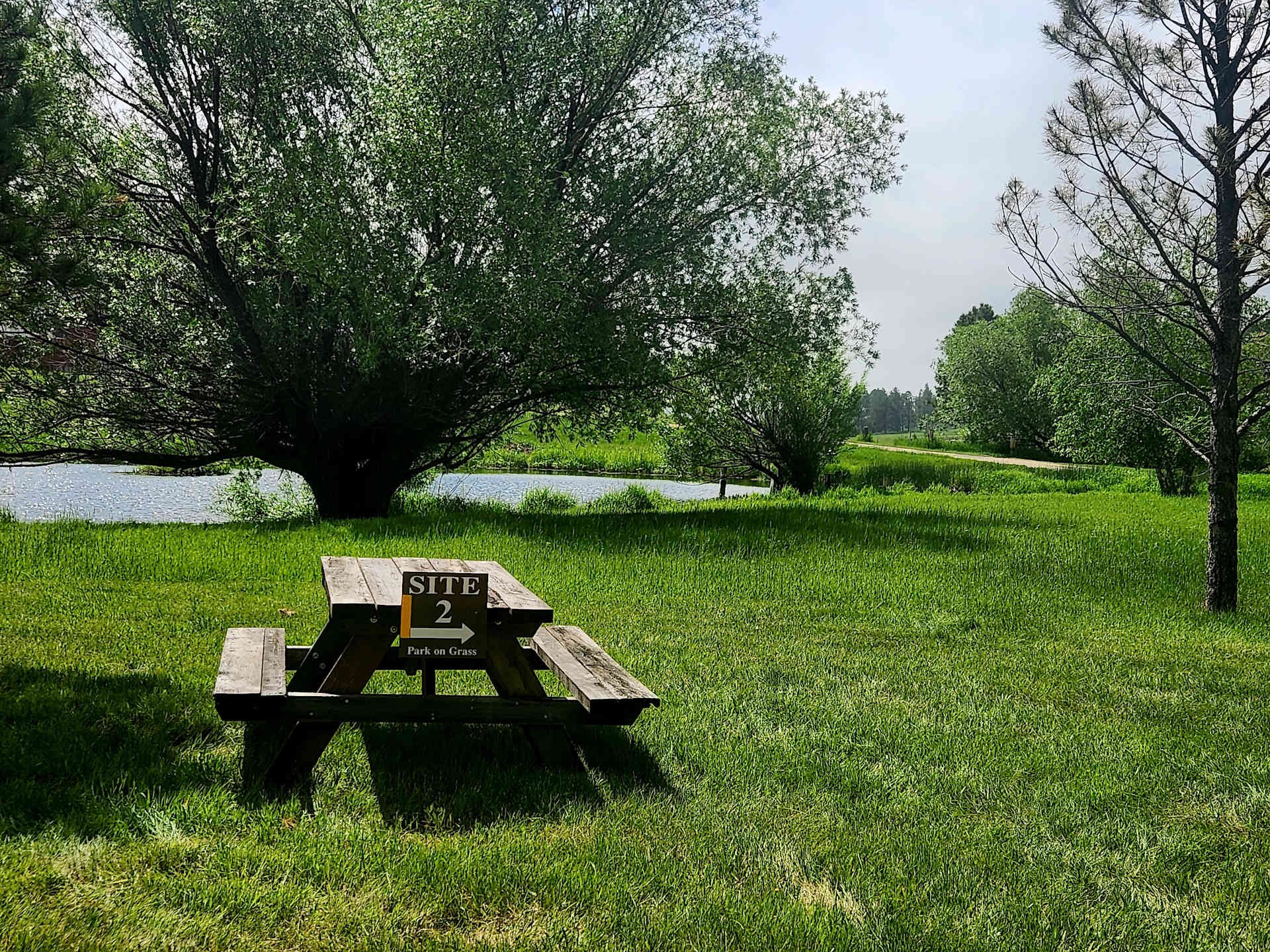 Picture of the site