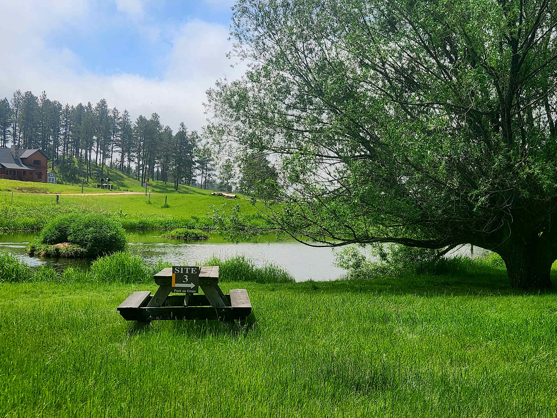 Picture of the site