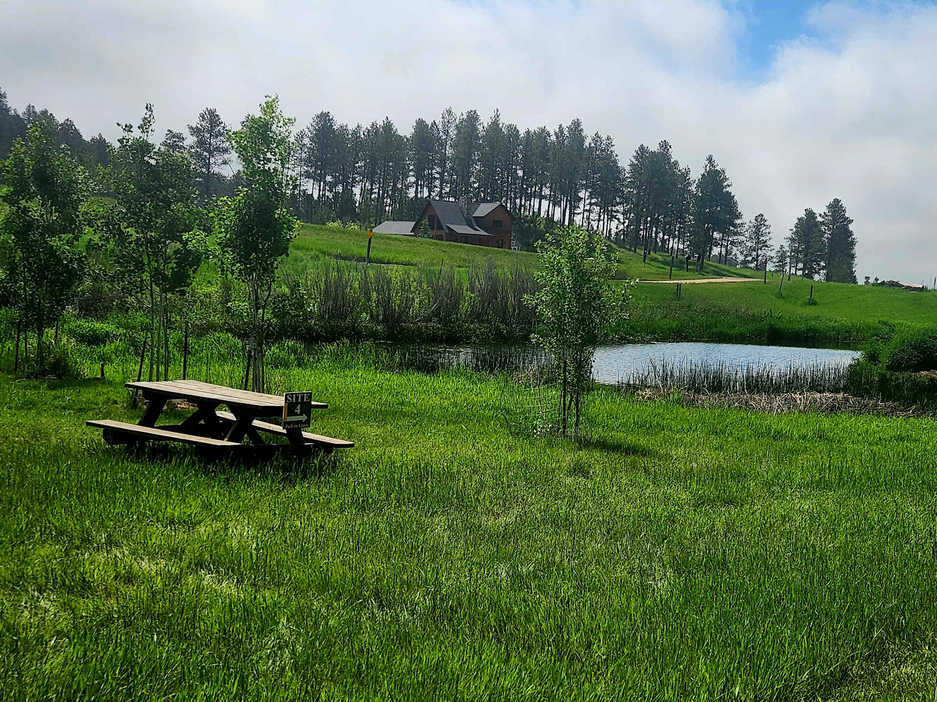Picture of the site