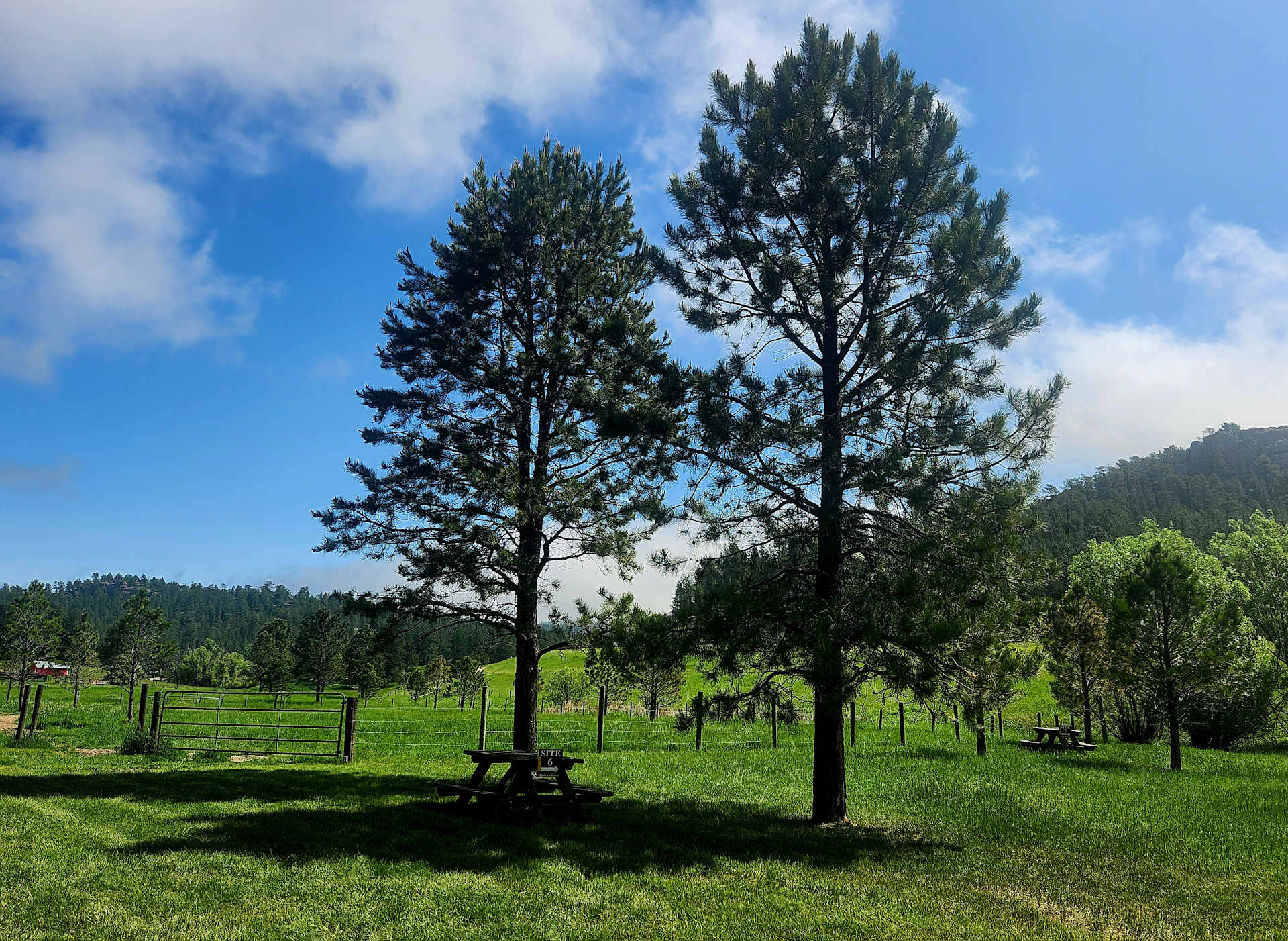 Picture of the site